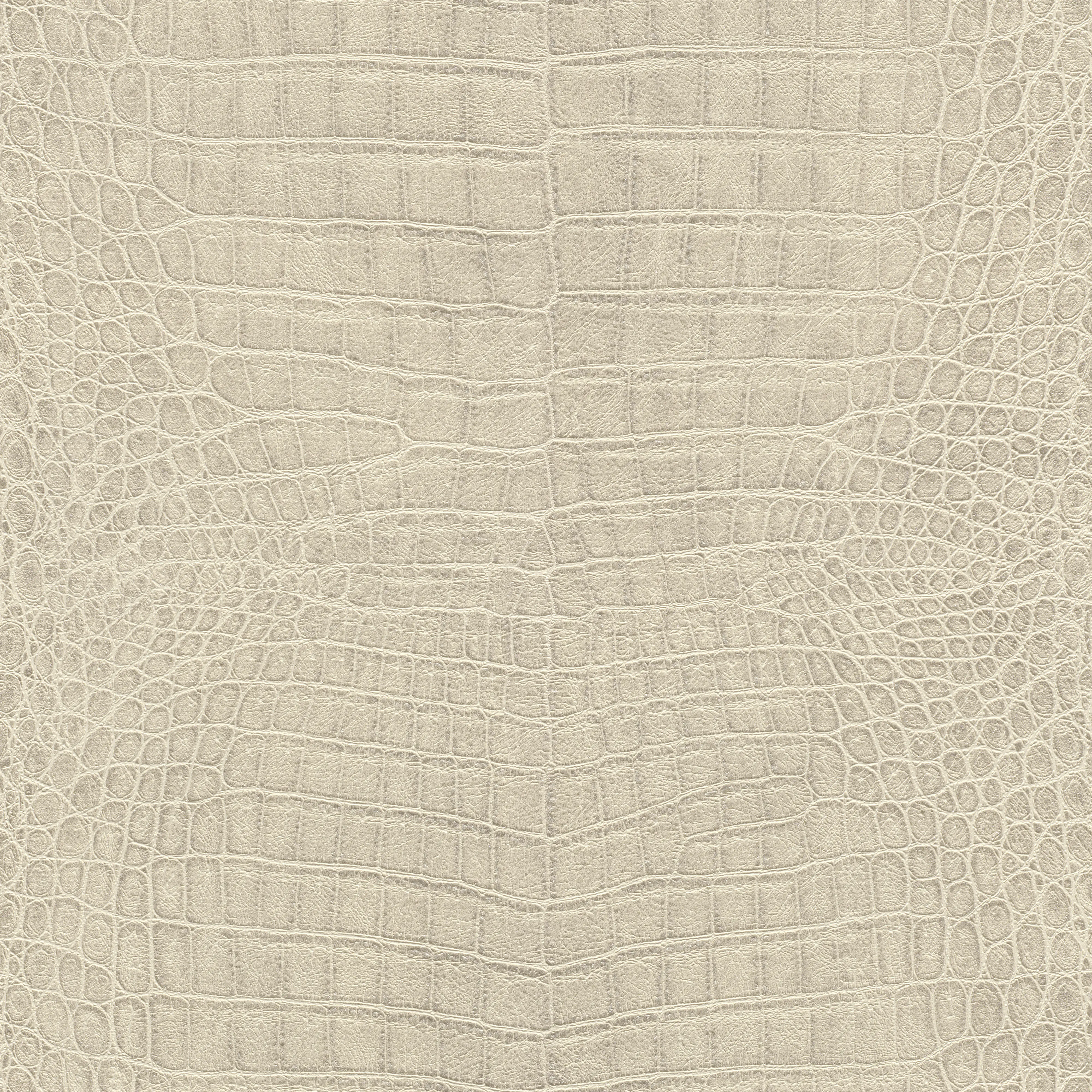 Rasch Vliestapete 751345 Beige-Hellbeige Muster & Motive 10,05 m x 0,53 m
