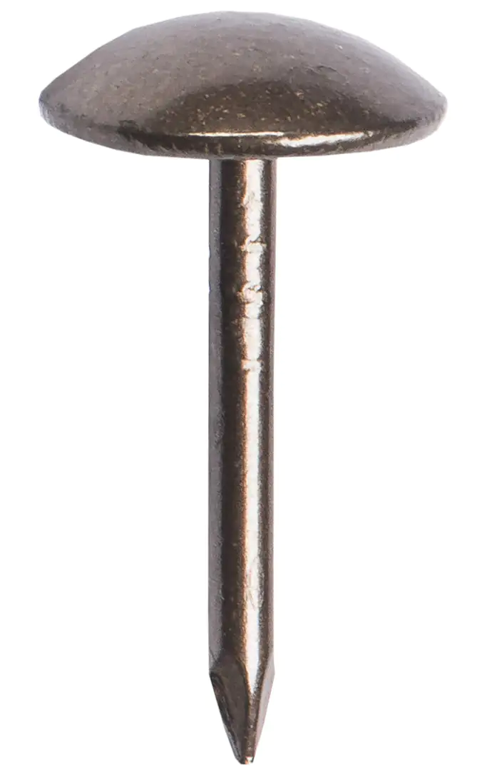 Connex Polsternägel Ø 8,0 x 8,5 mm, 40 Stück