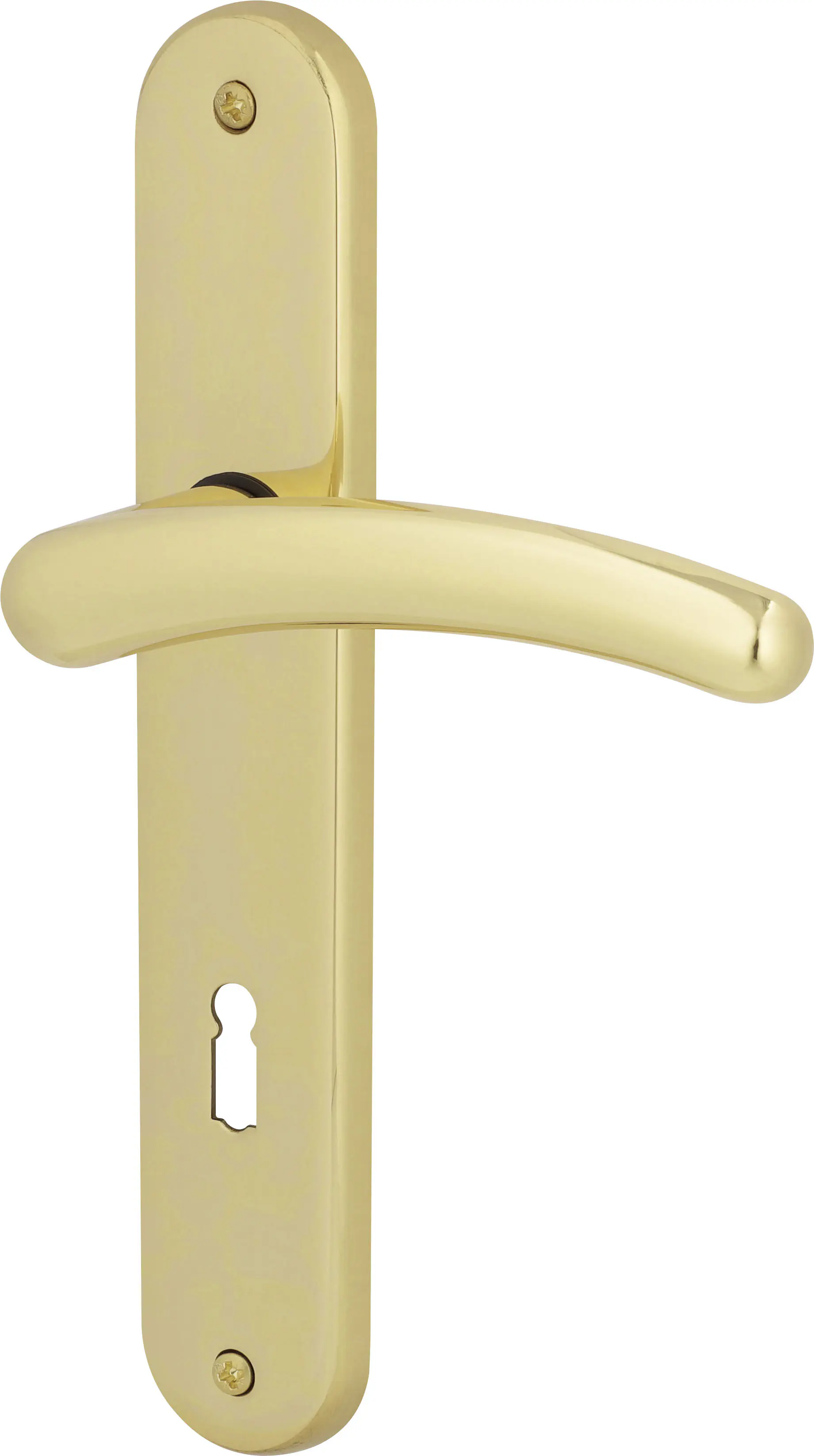 Südmetall Türgriff-Garnitur Langschild Franziska BB Messing poliert gold 225 x 40 mm