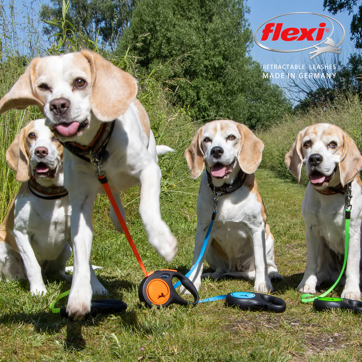Flexi Hundeleine New Neon Gurt M neonblau