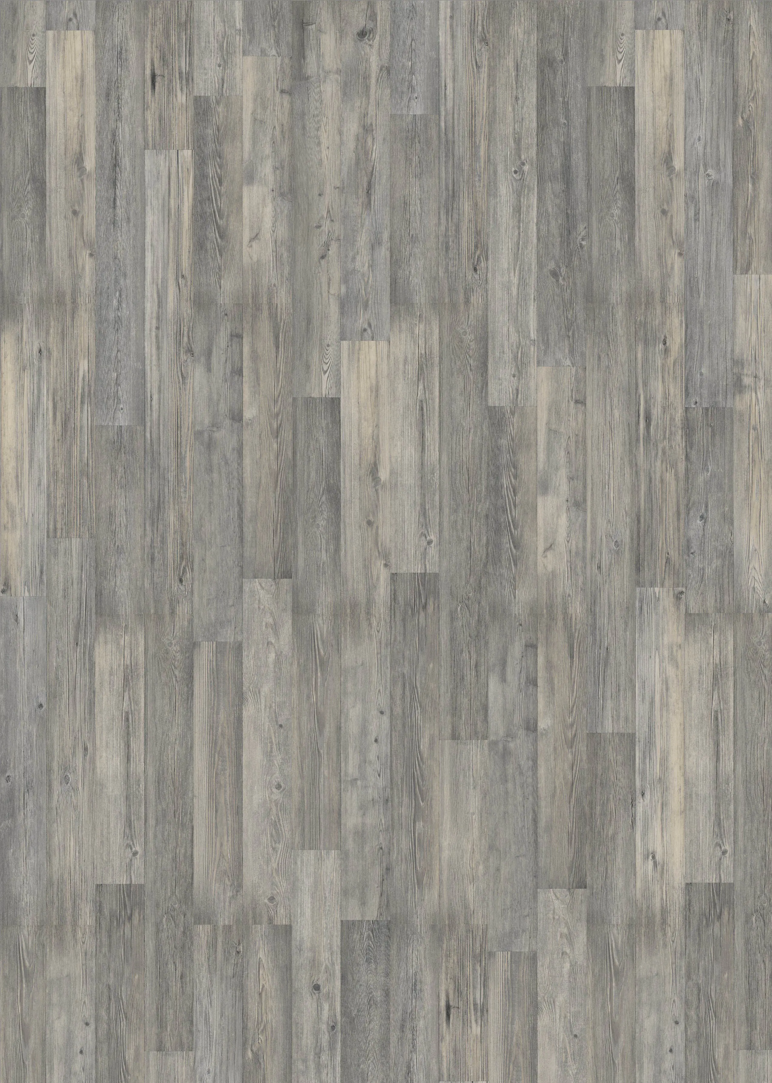 Classen Laminat Edition 7 128,6 x 19,4 cm 7 mm Seekiefer grau 2-Stab