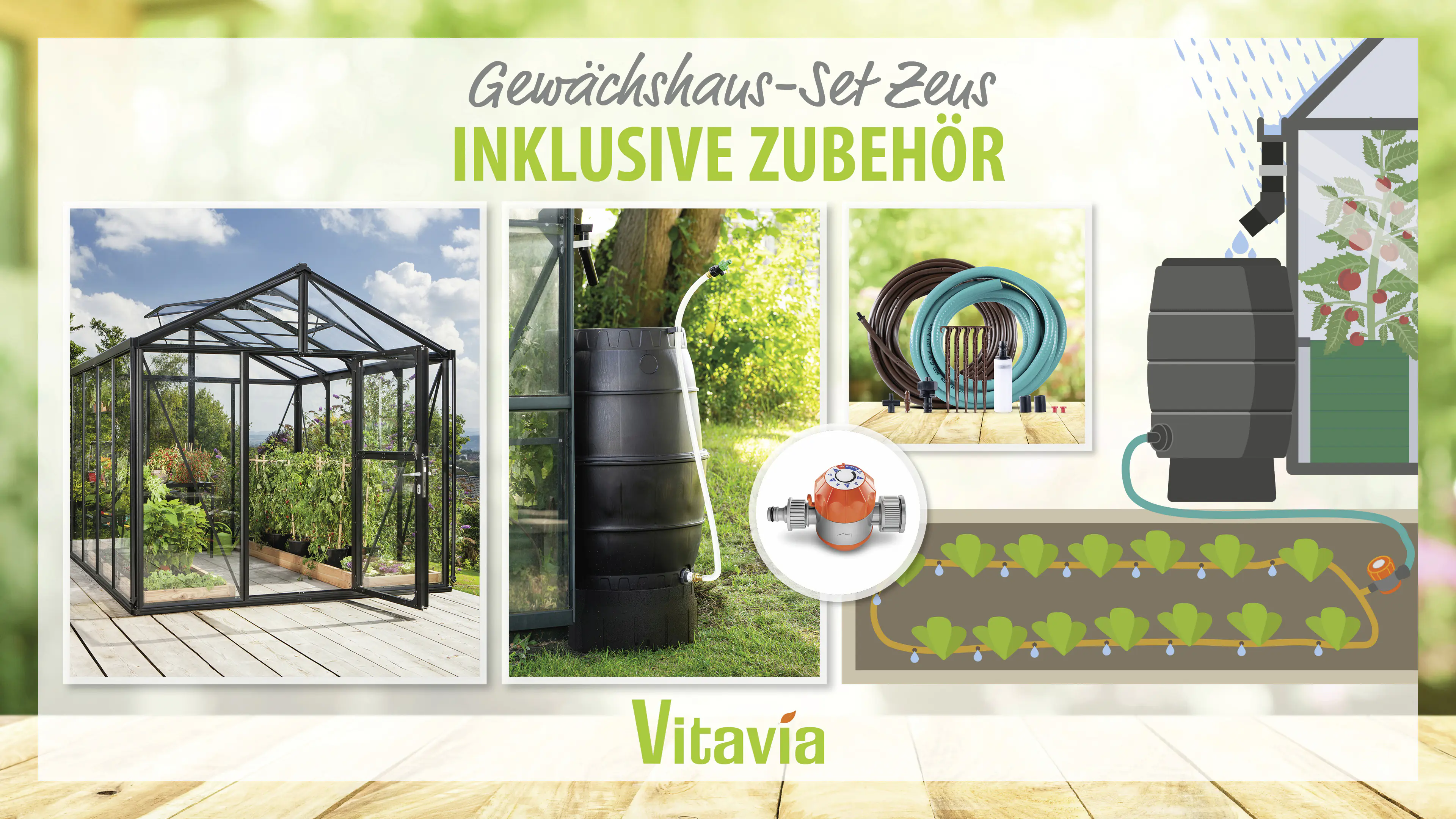 Vitavia Gewächshaus-Set Zeus 8100 ESG/HKP schwarz 266 x 324 cm 