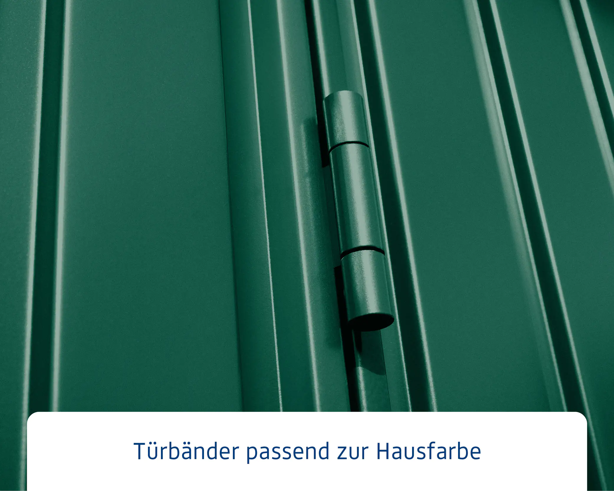 EcoStar Gerätehaus Trend-P Typ 2 moosgrün 247,9 x 283,4 x 232,3 cm