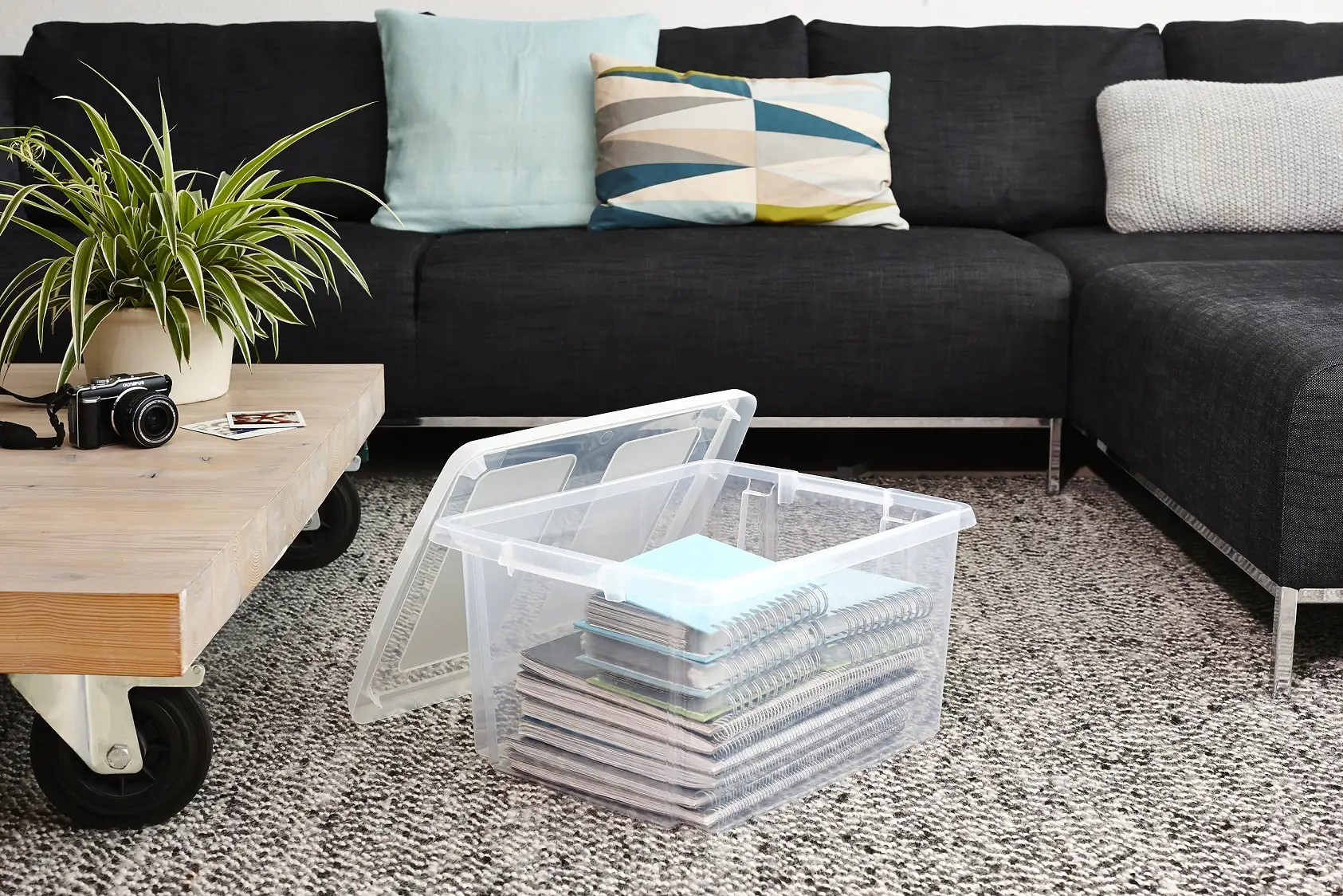 Sunware Aufbewahrungsbox Nesta 46 x 36,5 cm 32 L transparent