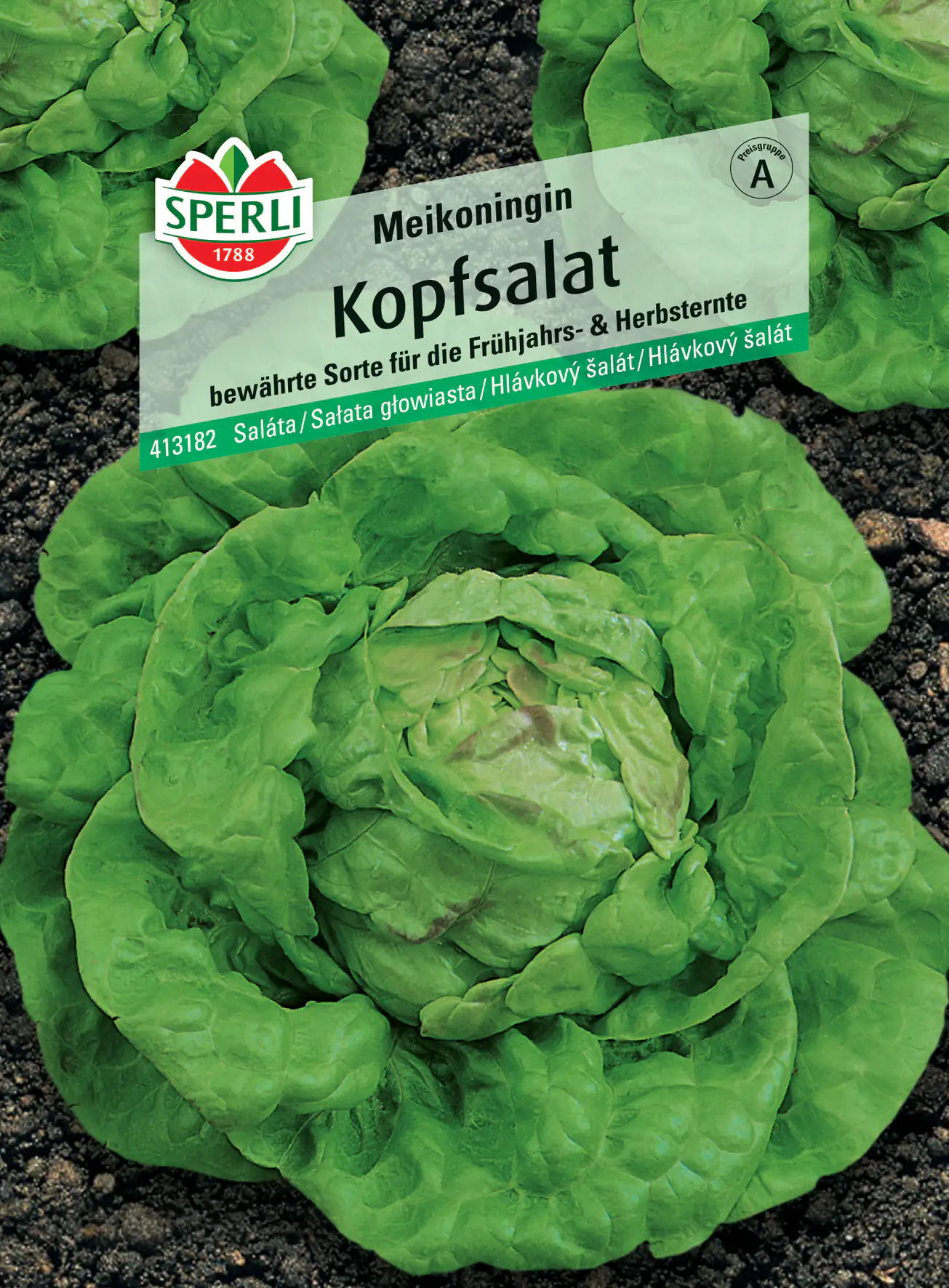 Sperli Kopfsalat Maikönigin