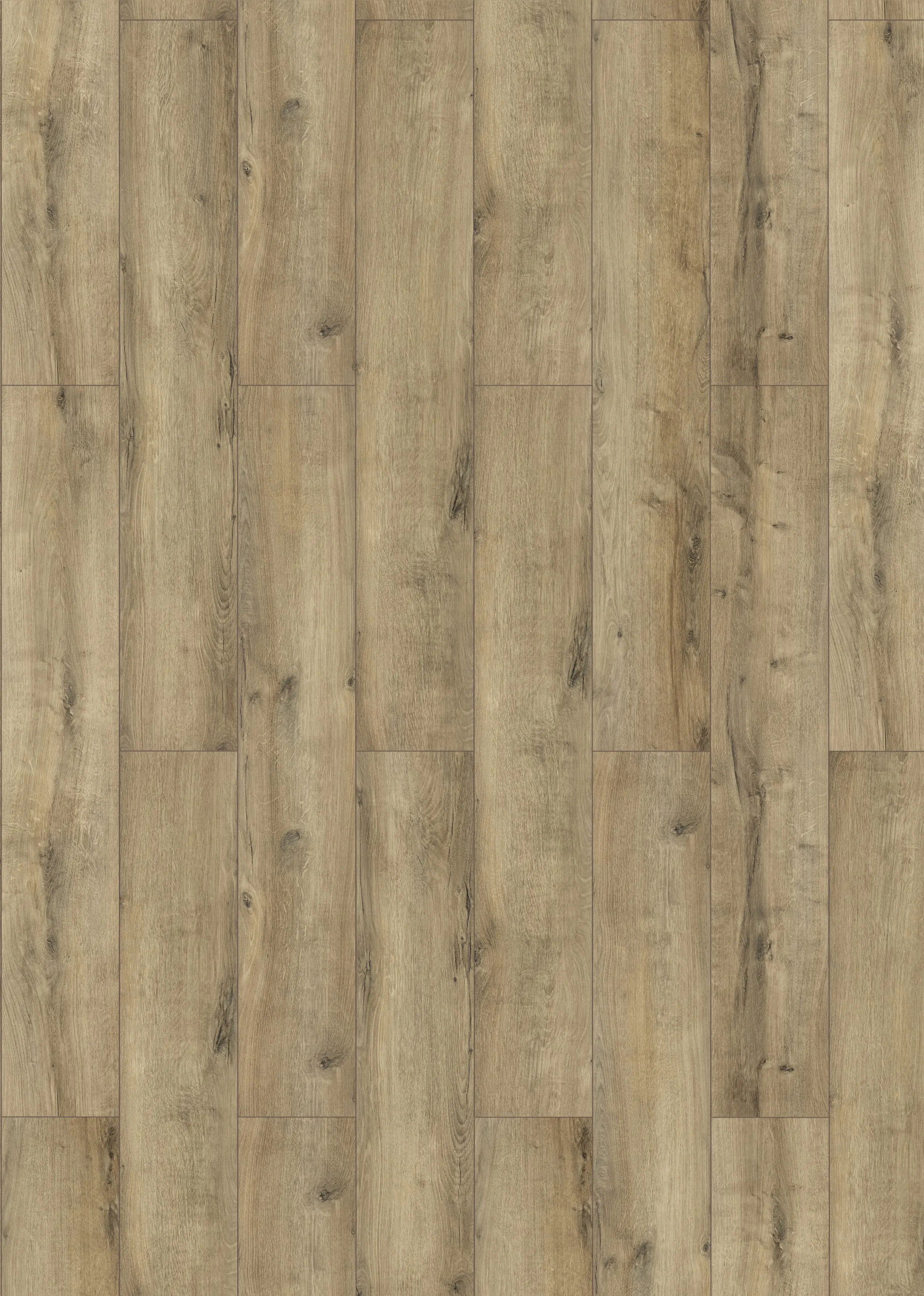 Classen Laminat Megaloc Aquaprotect 128,5 x 19,2 cm 8 mm Oak natural grey