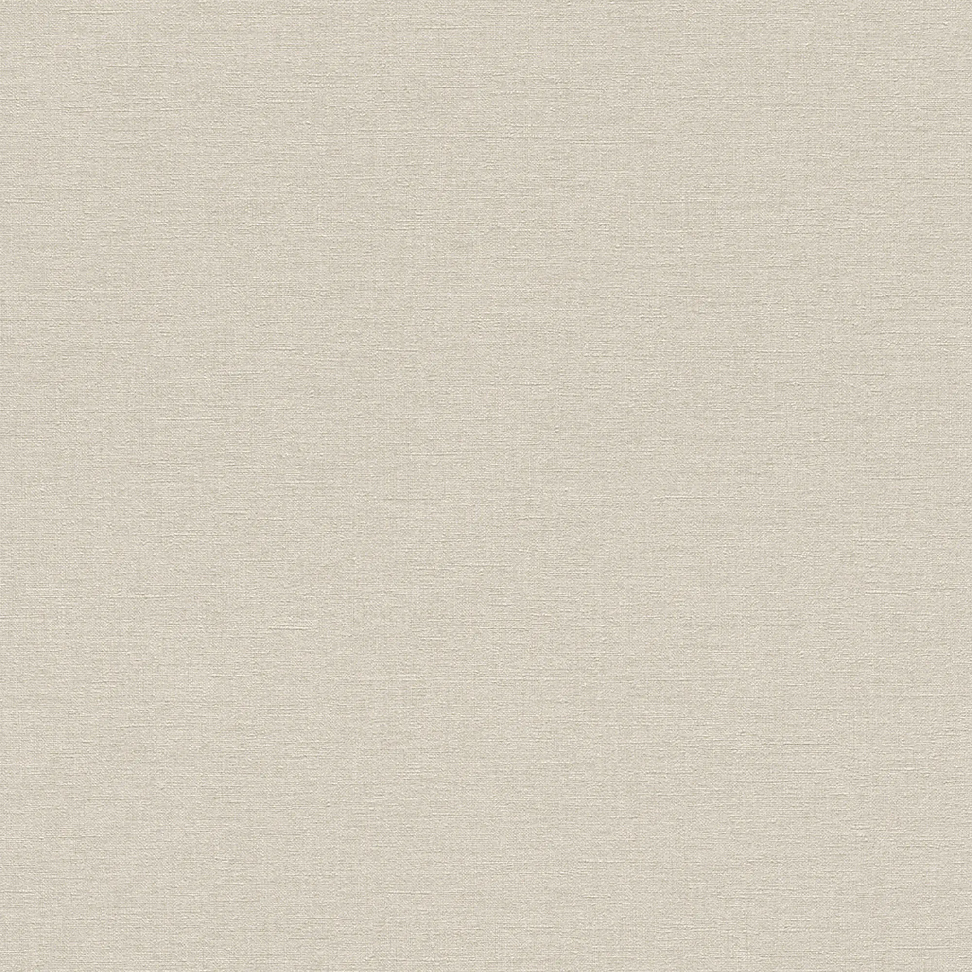 Rasch Vliestapete 448634 Florentine uni beige 10,05 x 0,53 m