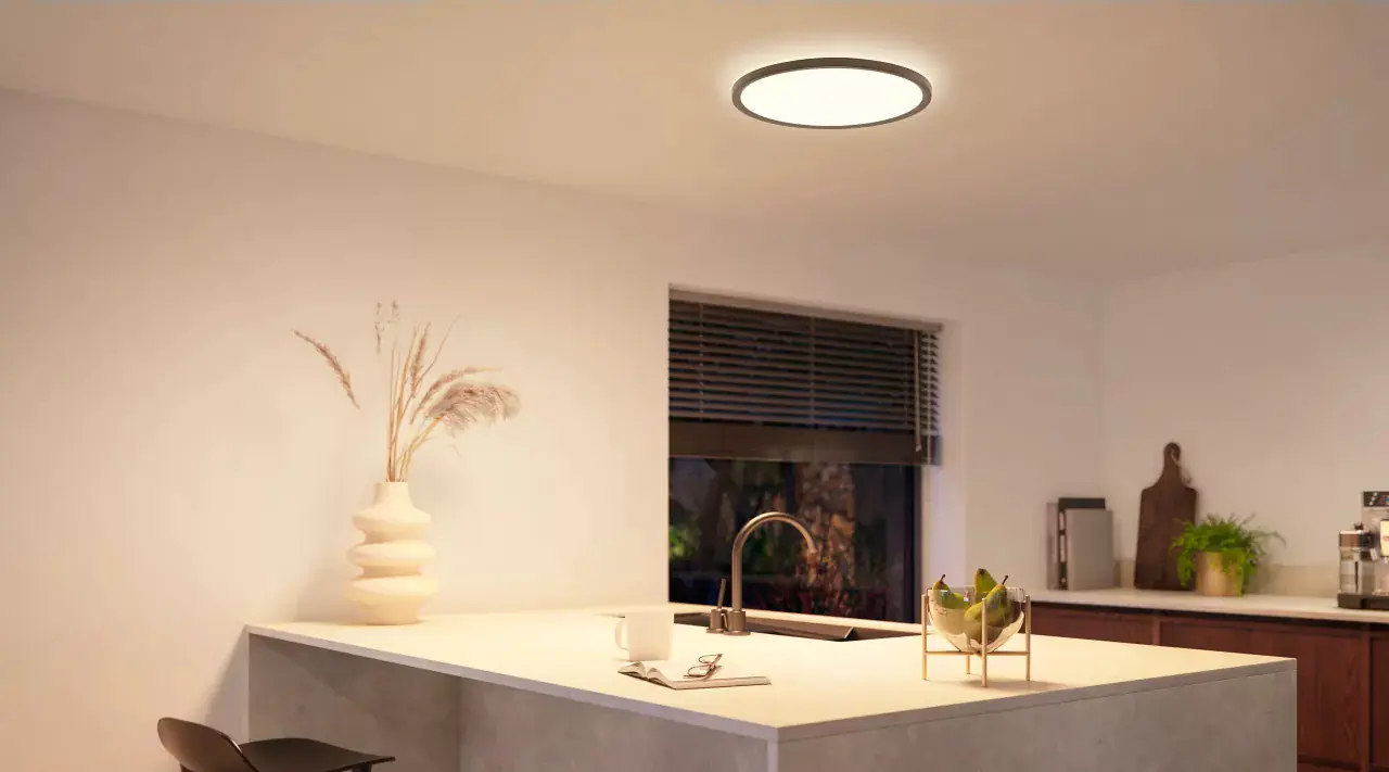 Philips Hue LED Deckenleuchte Tento rund schwarz 43 x 3 cm RGB