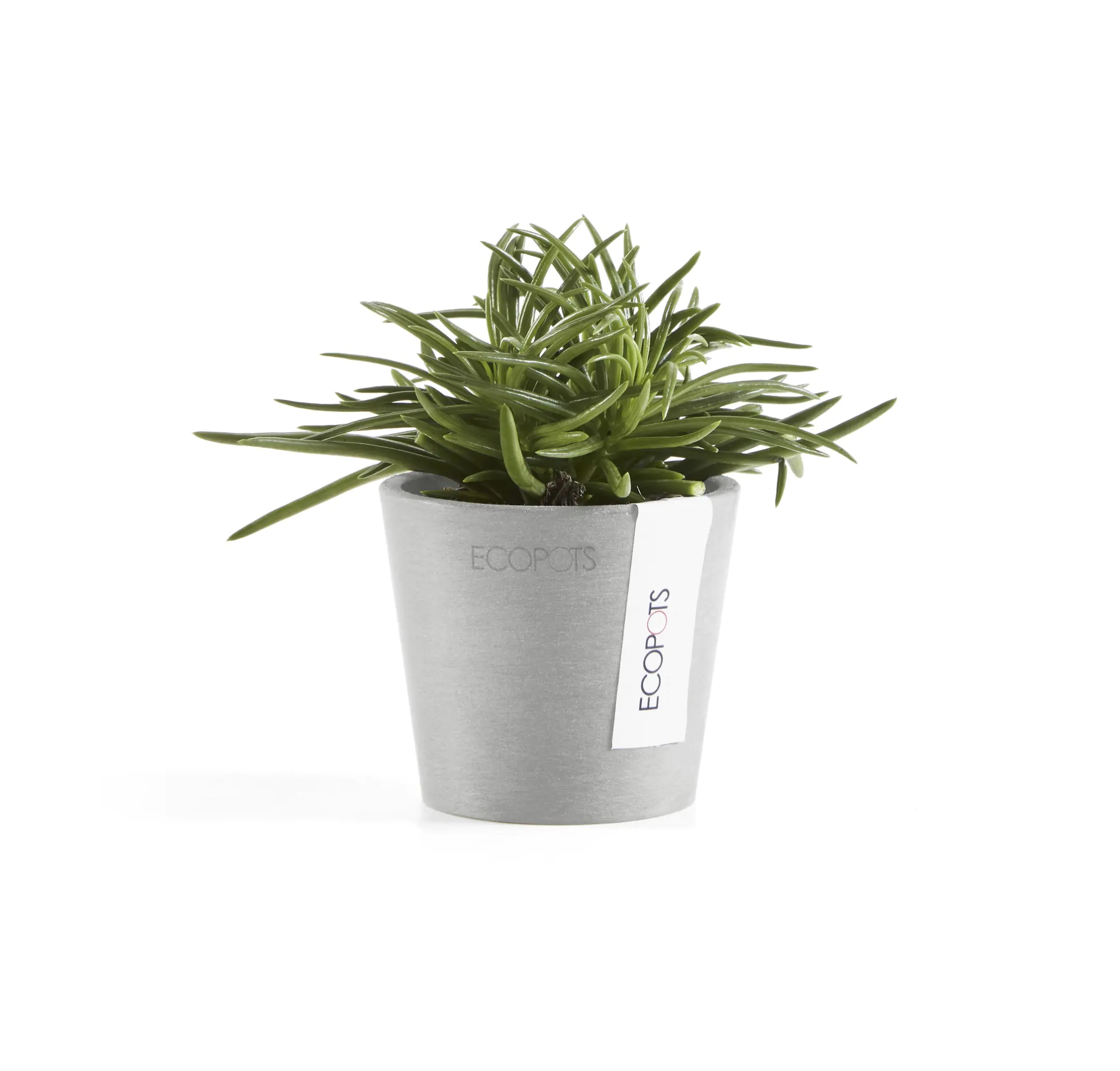 Ecopots Übertopf Amsterdam Kunststoff weißgrau Ø 8 x 7 cm