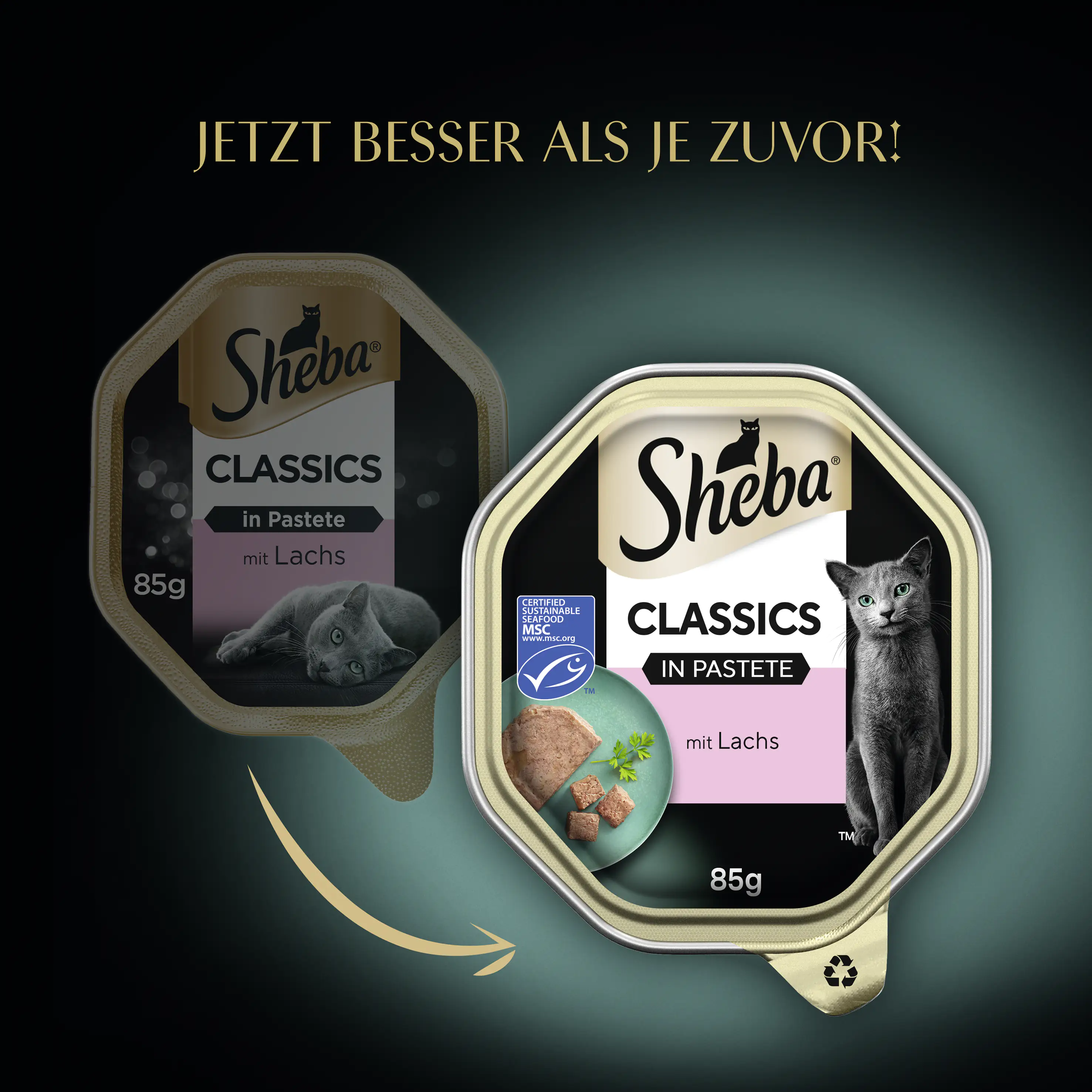 Sheba Classics in Pastete Katzennassfutter Adult 85 g Lachs