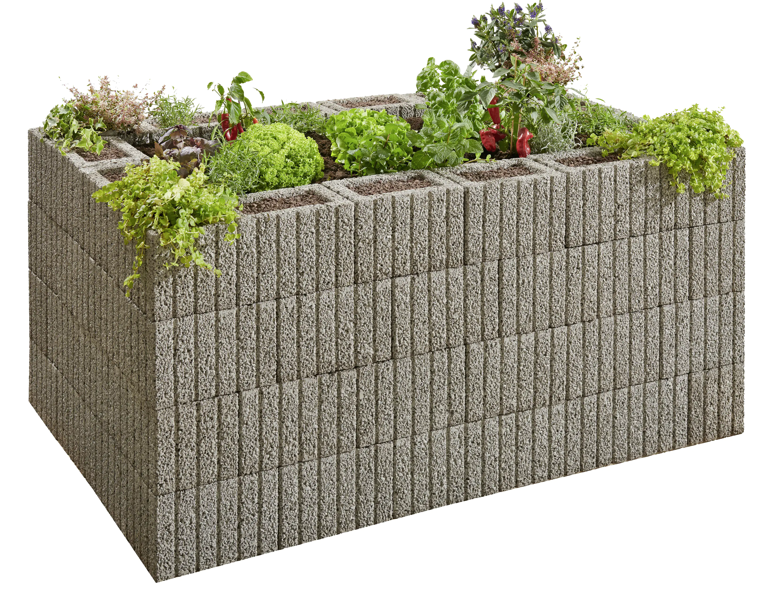 Kann Hochbeet-Set Pflanzstein Mini 170 x 110 x 80 cm grau