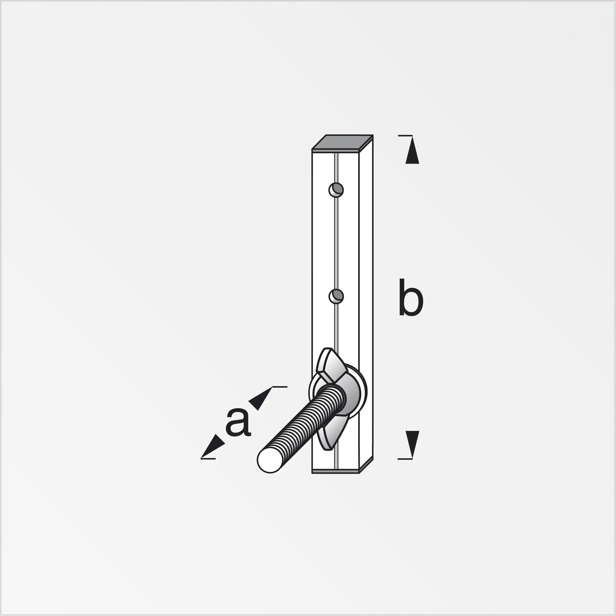 coaxis®-Felgenhalter 90 mm 90 x 140 mm Aluminium roh blank