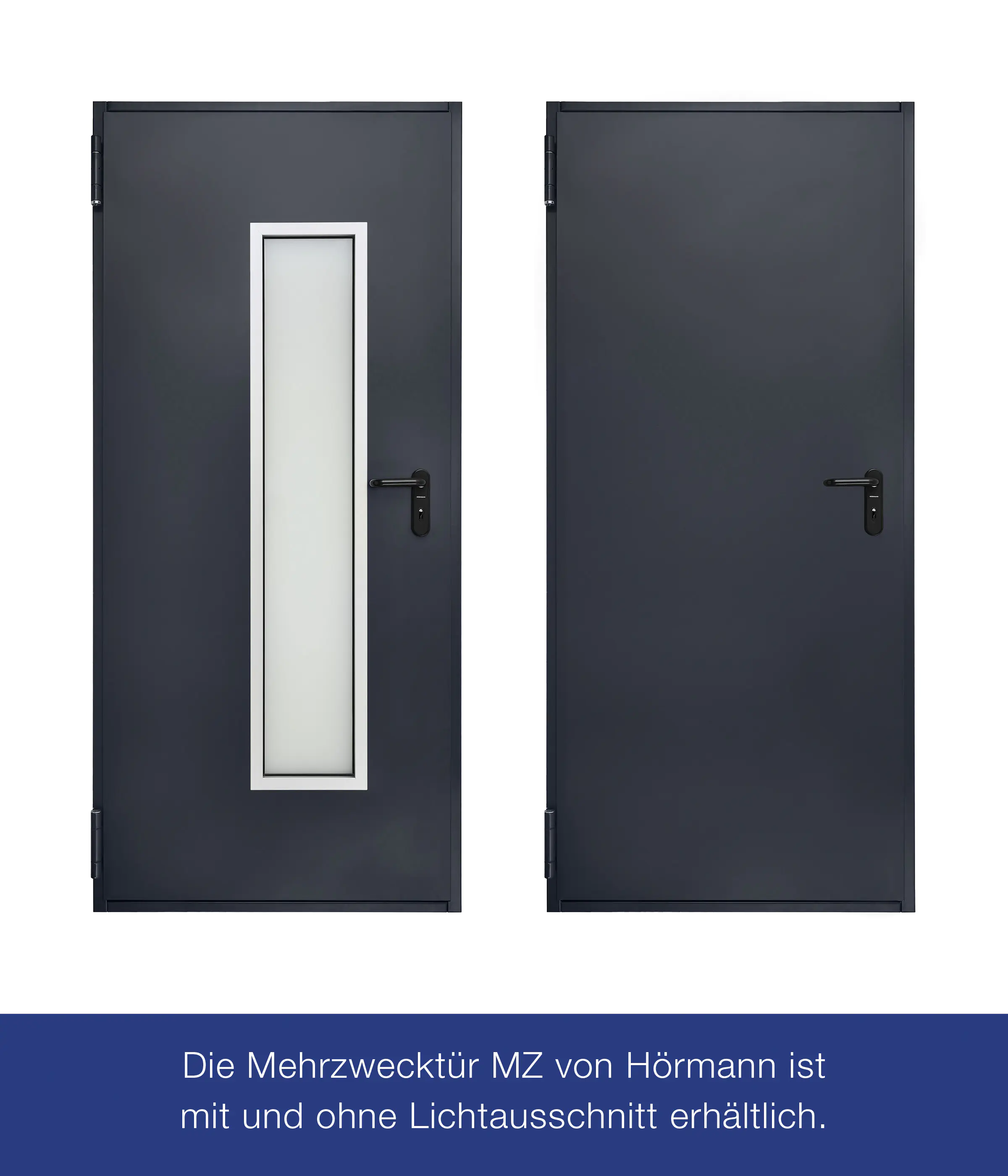 Hörmann Feuerschutztür anthrazitgrau T-30 87,5 x 200 cm Links/Rechts