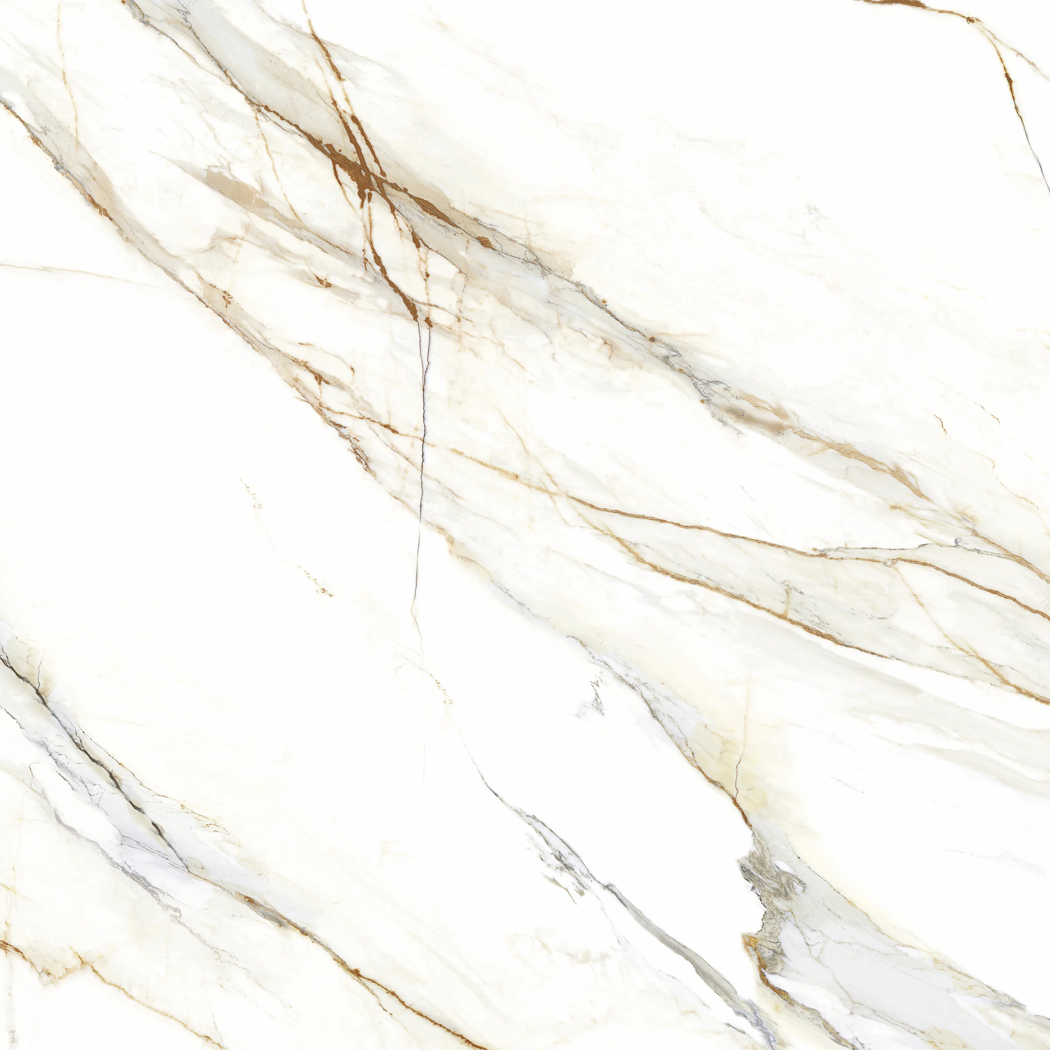 Bodenfliese Feinsteinzeug Venetion Gold 120 x 120 cm weiß