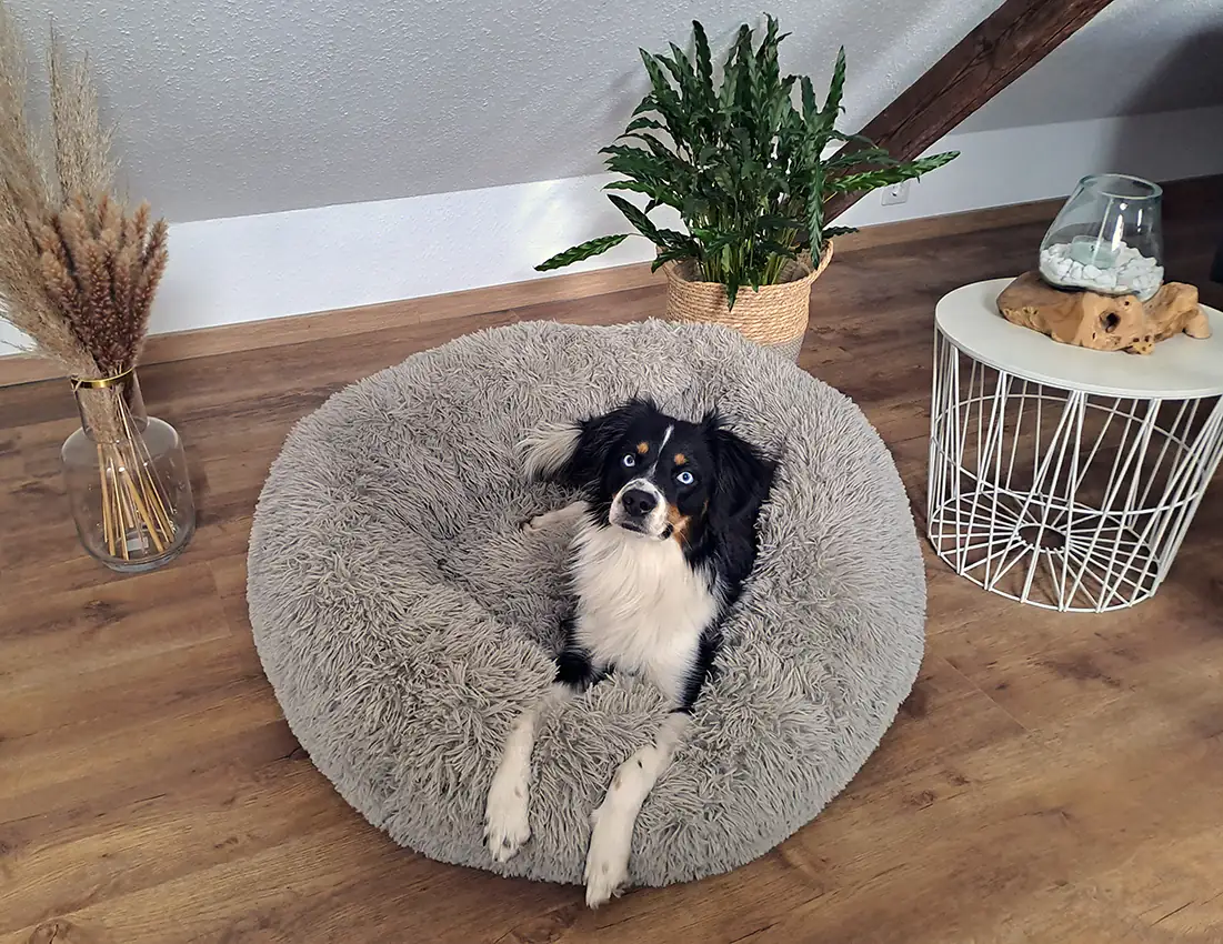 Nobby Kuschelbett Donut Classic Esla dunkelgrau