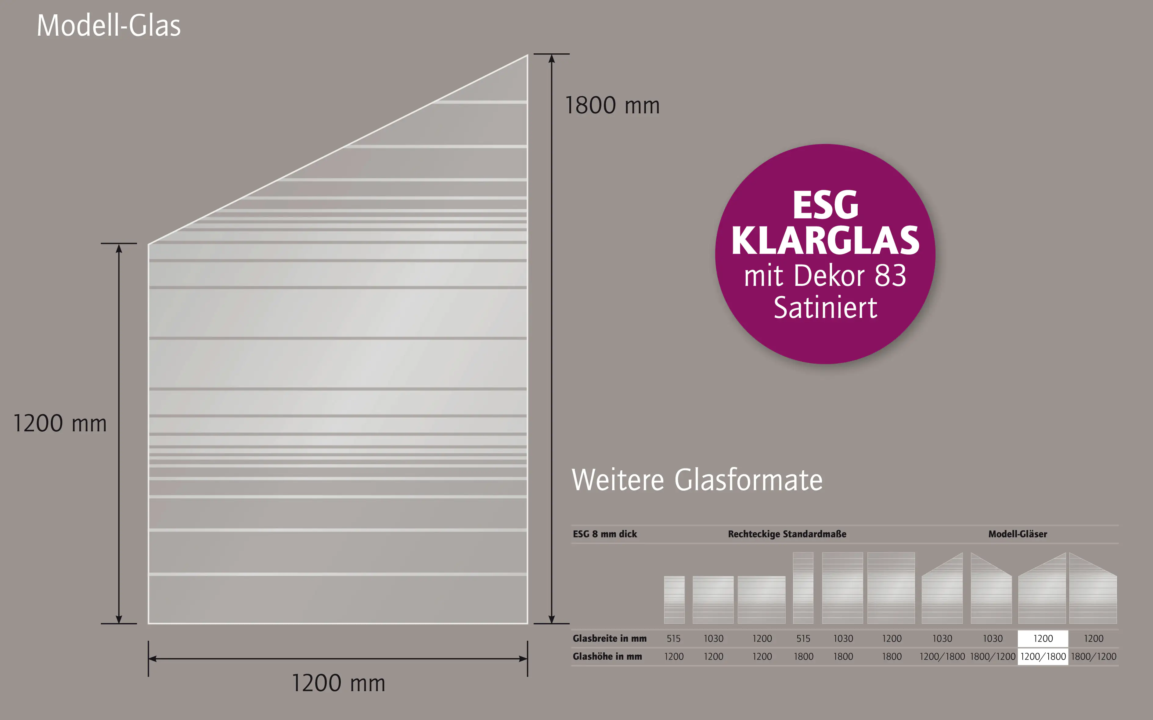 Ambiente Glaszaun Dekor 83 schräg 120 x 120/180 cm gehärtetes 8 mm Glas