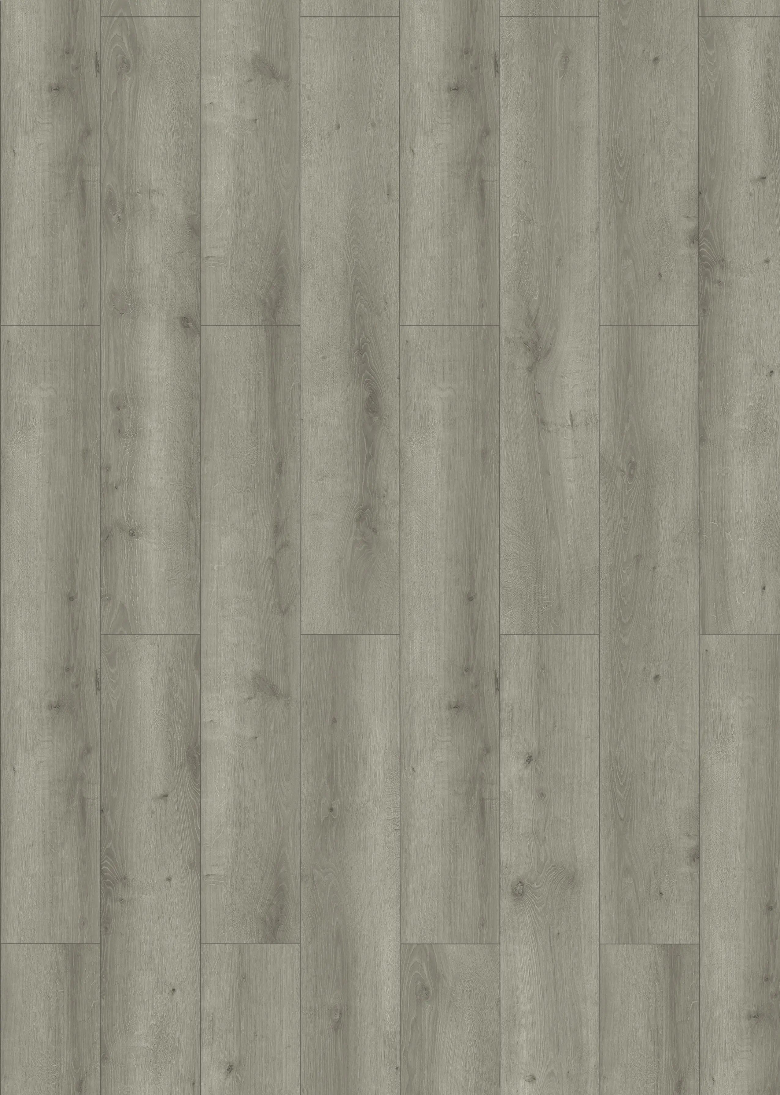 Classen Laminat Megaloc Aquaprotect Oak grey brown