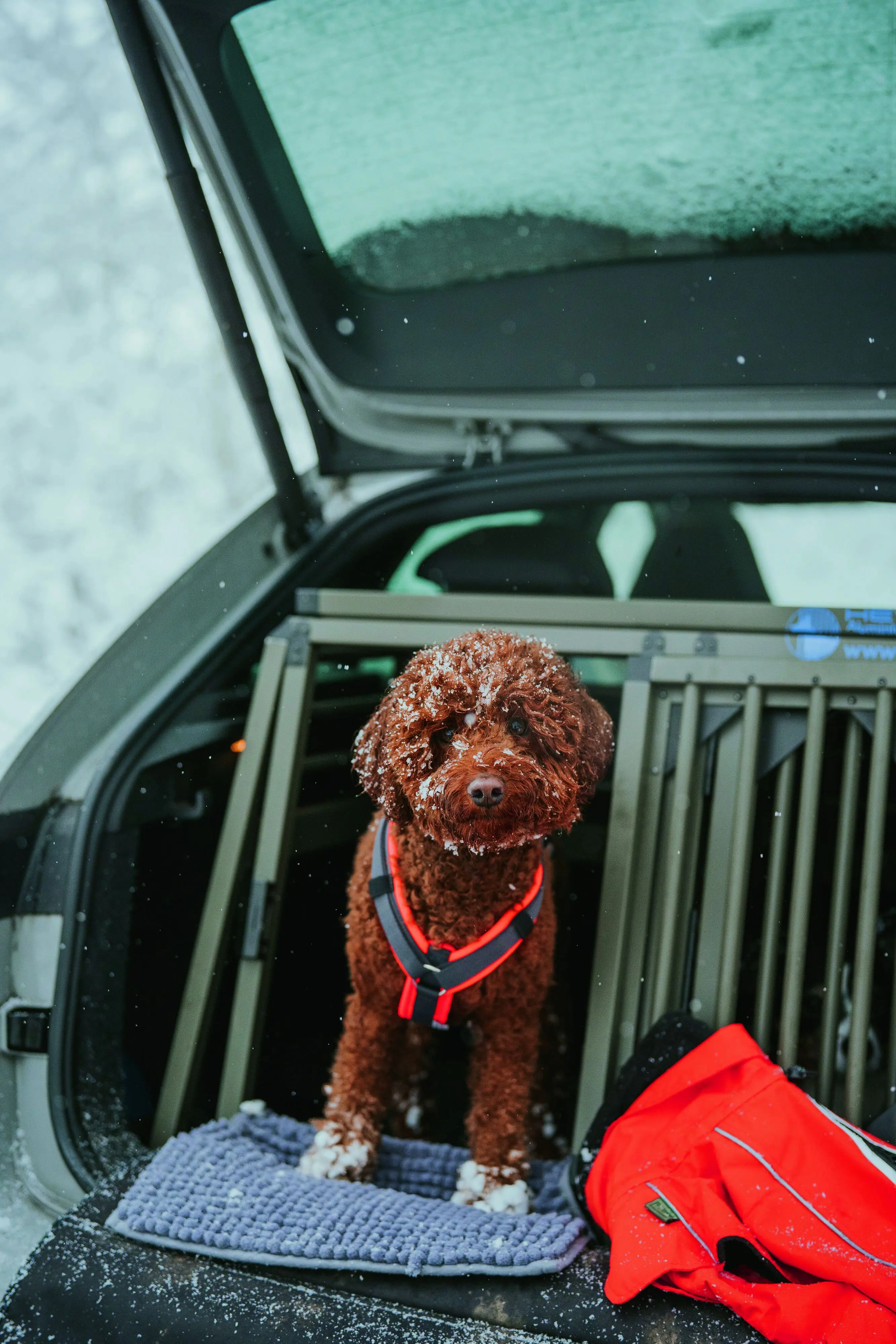 Hunter Hundegeschirr Maldon Up mit Griff M-L orange/grau