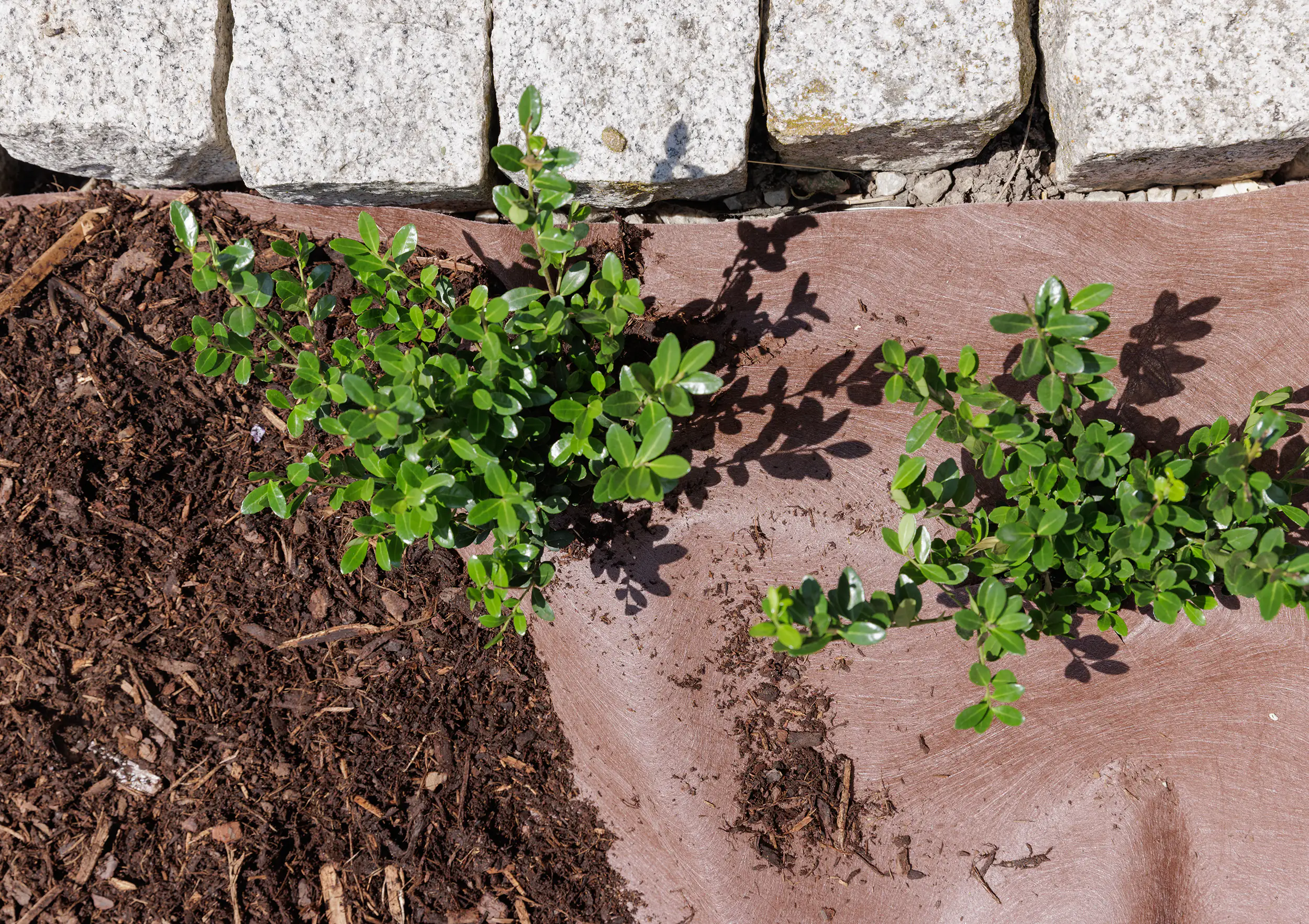 Premium Garden Gartenbauvlies 1,20 x 10 m