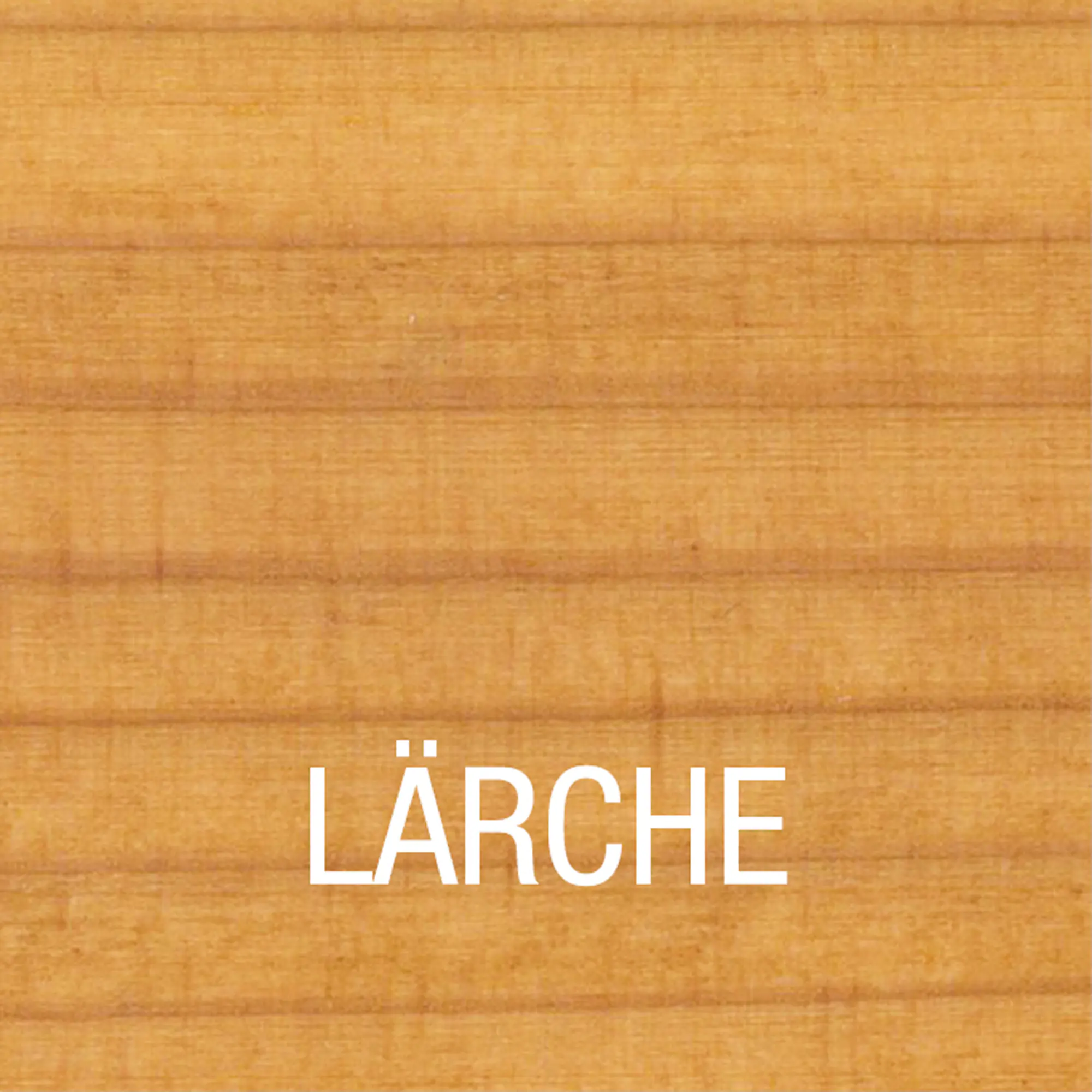 Bondex Lärchen Öl 3 L