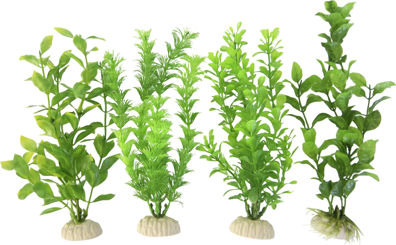 Orbit Aquapflanze grün Standard medium