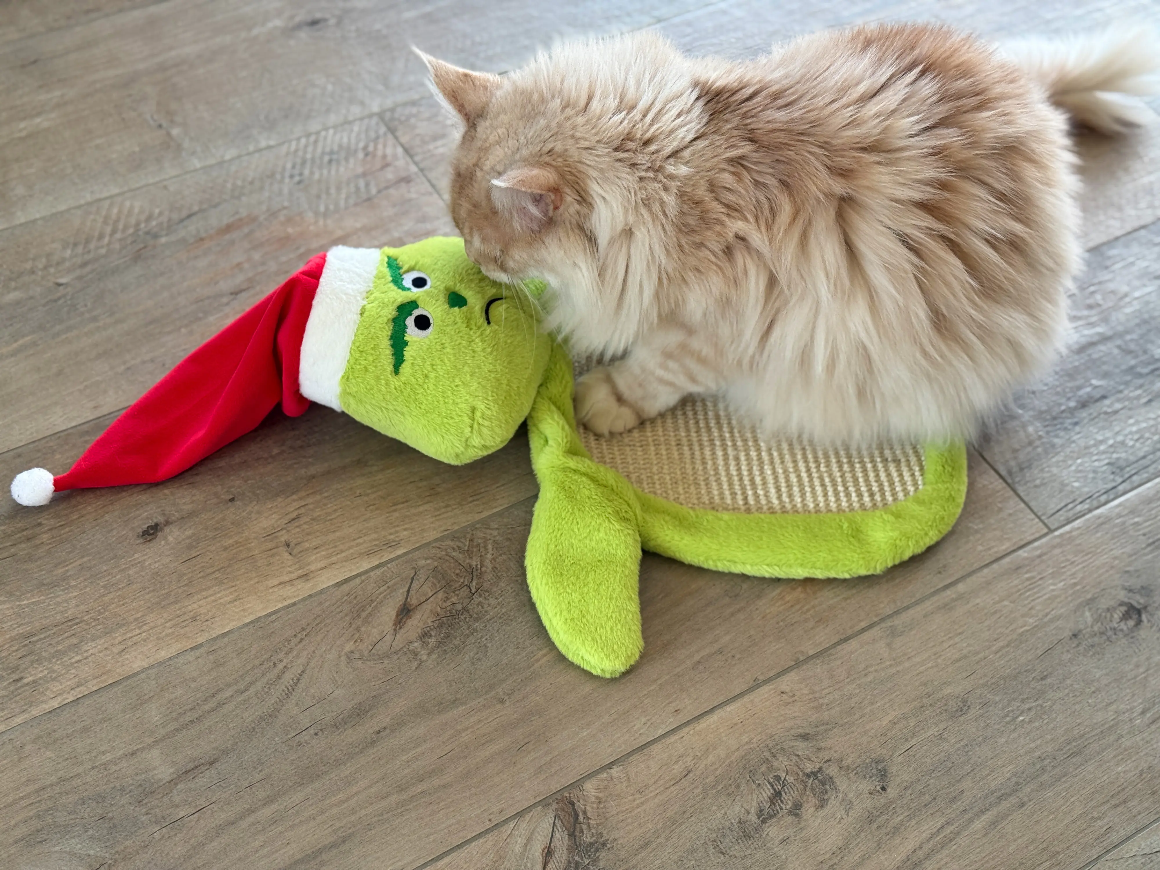 Aumüller Katzenspielzeug Weihnachtsmuffel Kratzmatte 58 cm grün