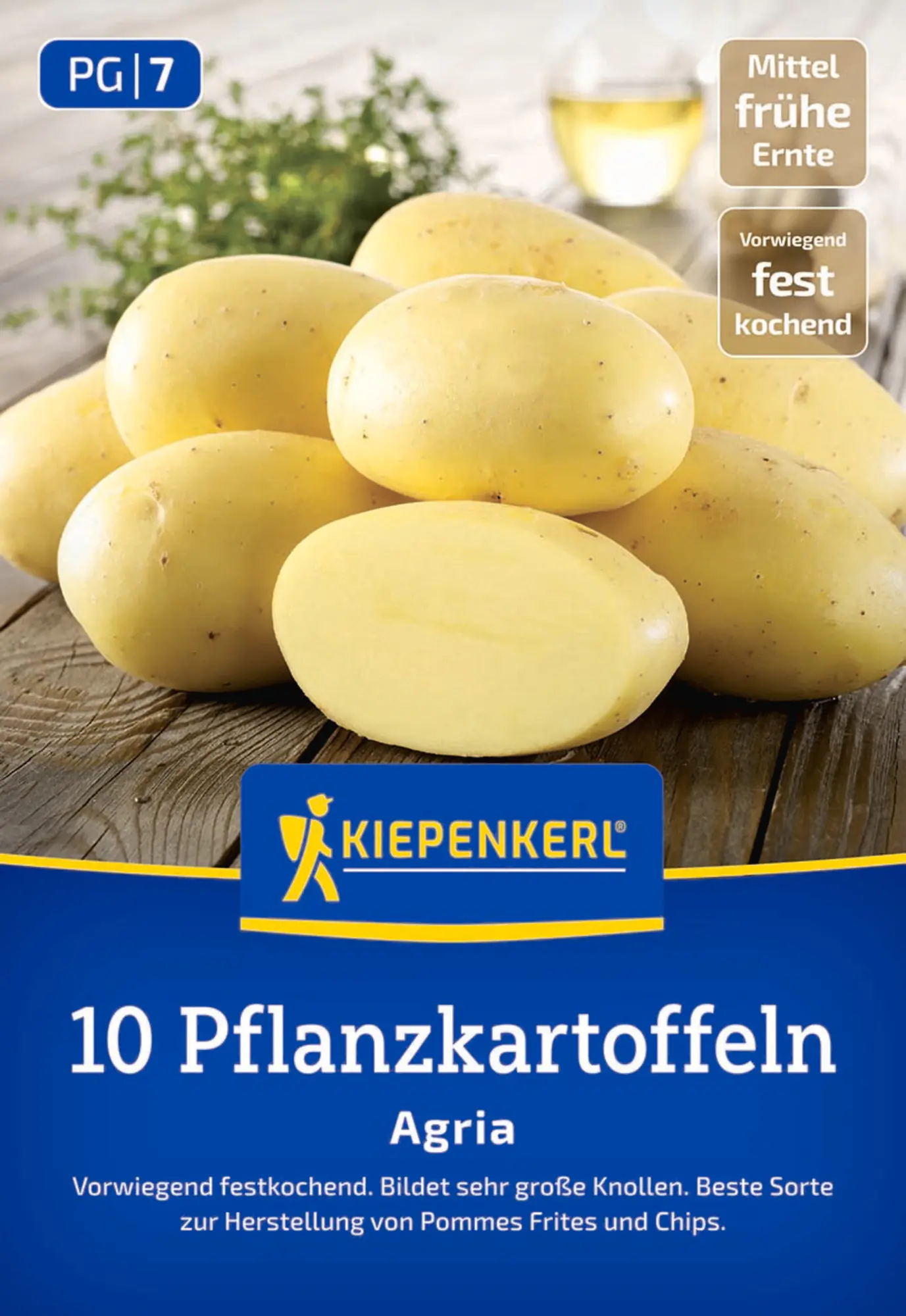Kiepenkerl Pflanzkartoffel Agria 10 Stück