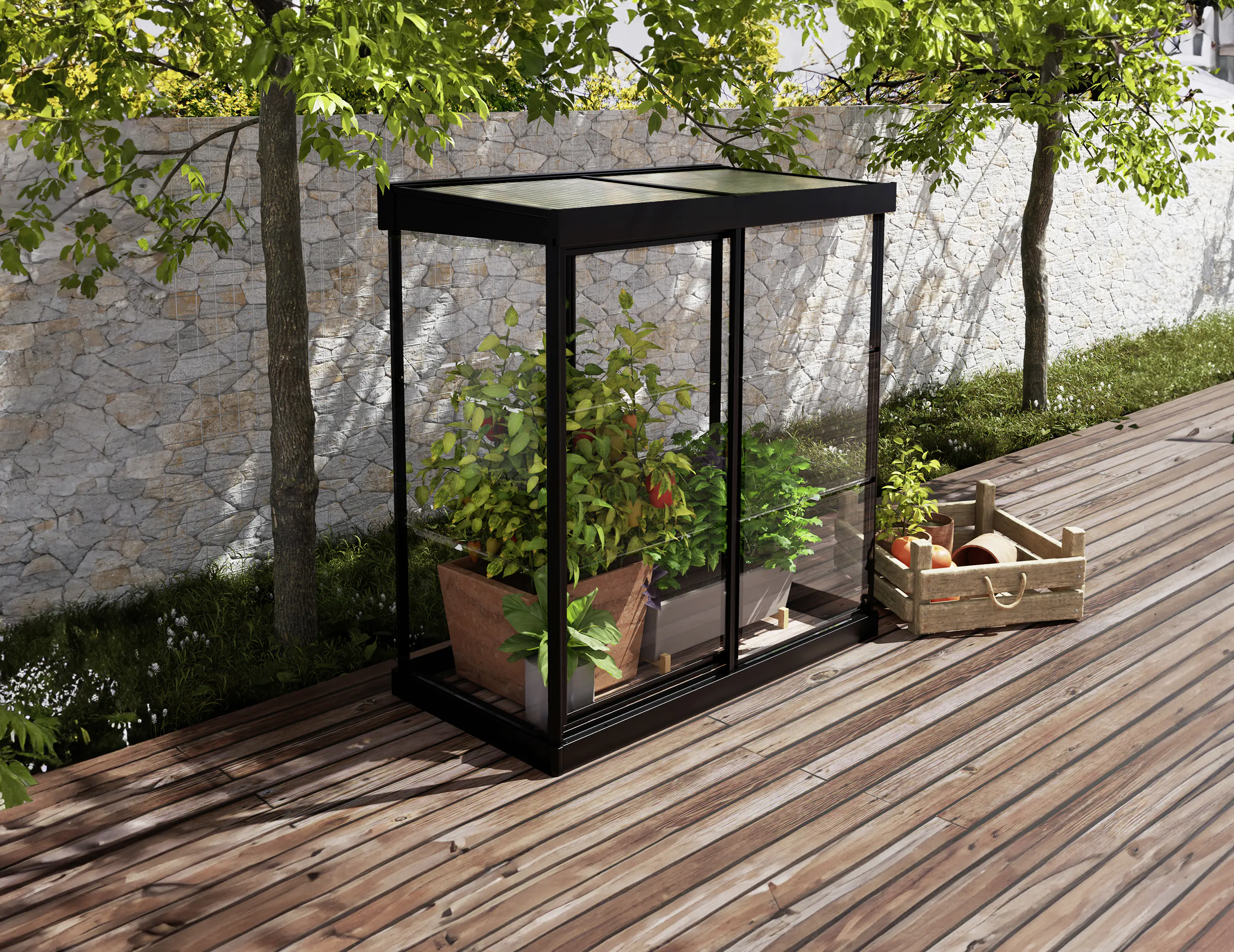 Canopia Minigewächshaus Ivy  Alu schwarz 66 x 63 cm