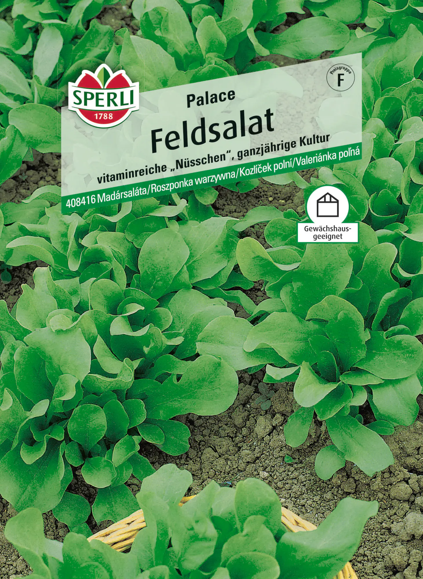 Sperli Saatgut Feldsalat Palace für bis zu 4-5 lfd. Meter