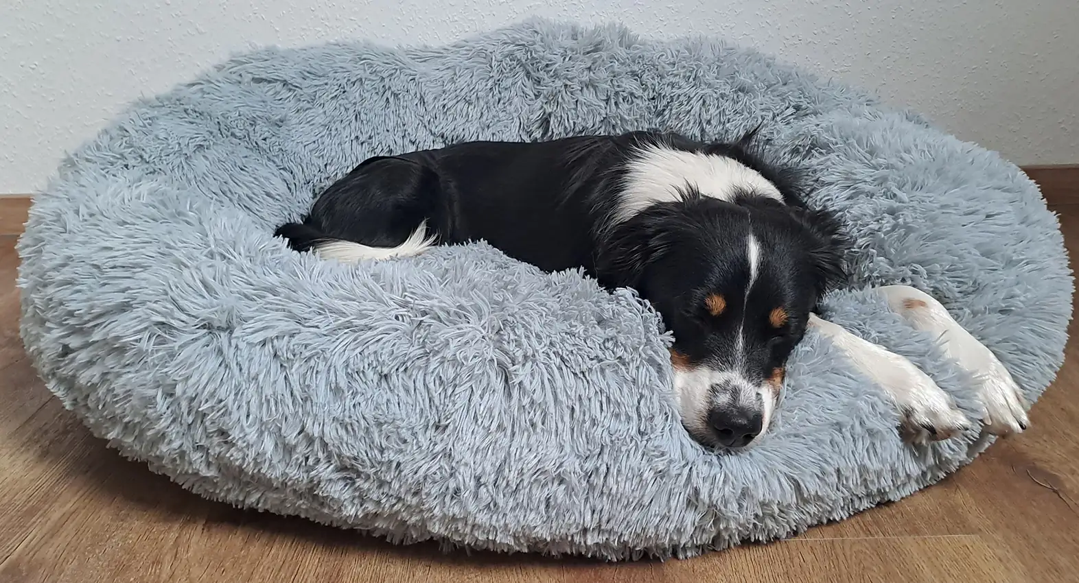 Nobby Hundebett & Katzenbett Donut Classic Esla 70 x 26 cm grau