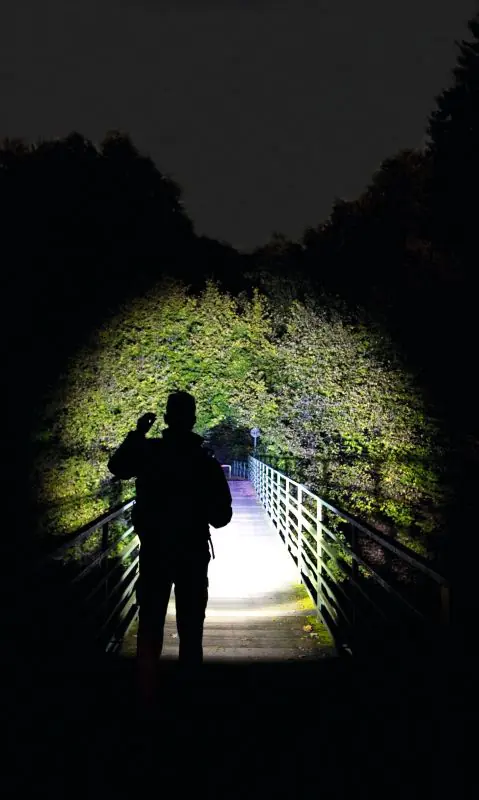 Ledlenser LED Taschenlampe E40 schwarz 300lm