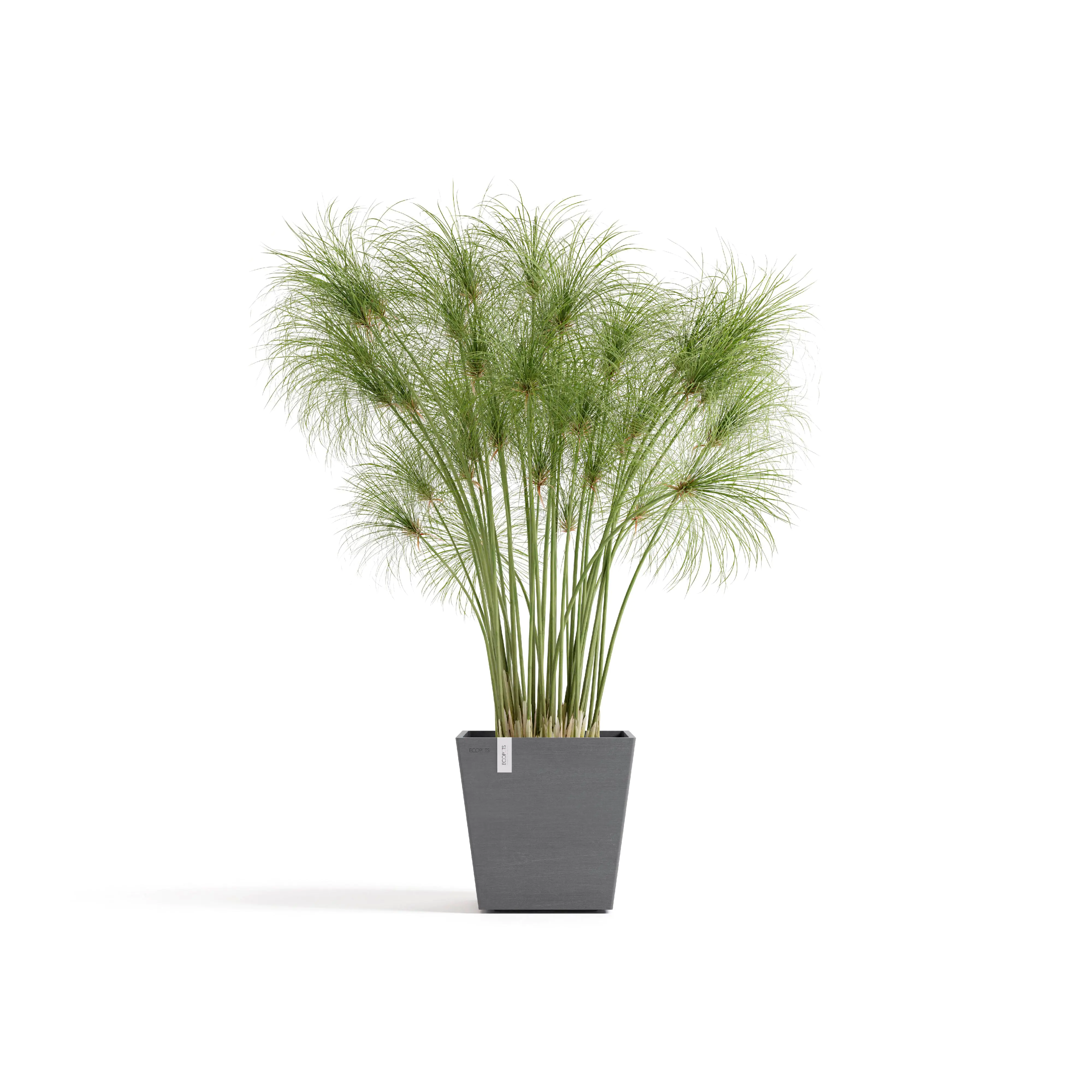 Ecopots Pflanztopf Rotterdam 25 x 25 x 24,5 cm grau