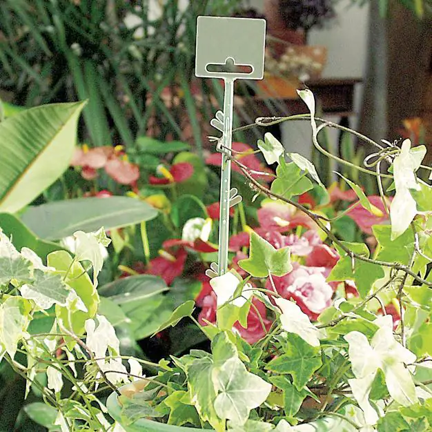 Blumenstab 70 cm