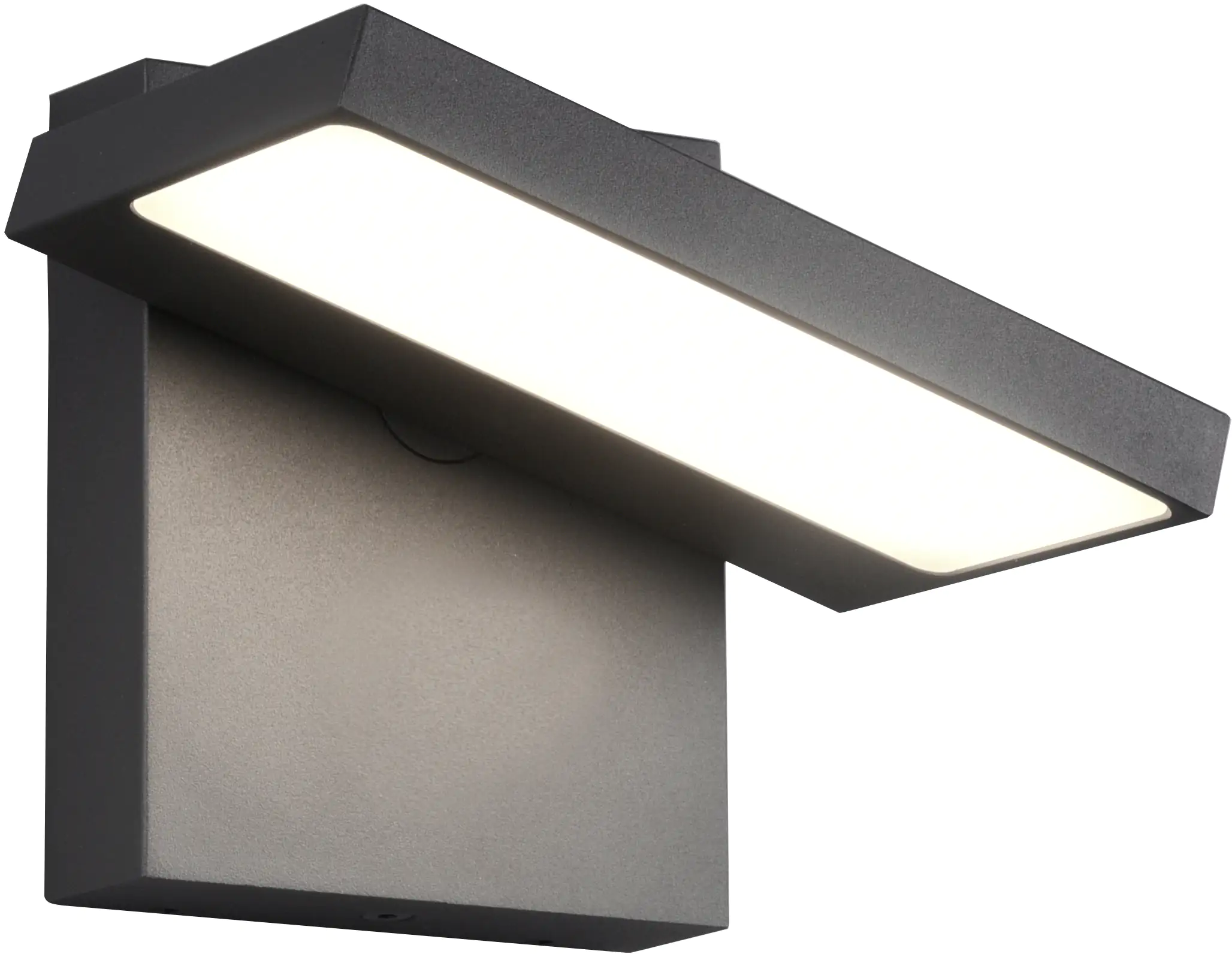 Trio Leuchten LED Außen-Wandleuchte Horton anthrazit schwenkbar