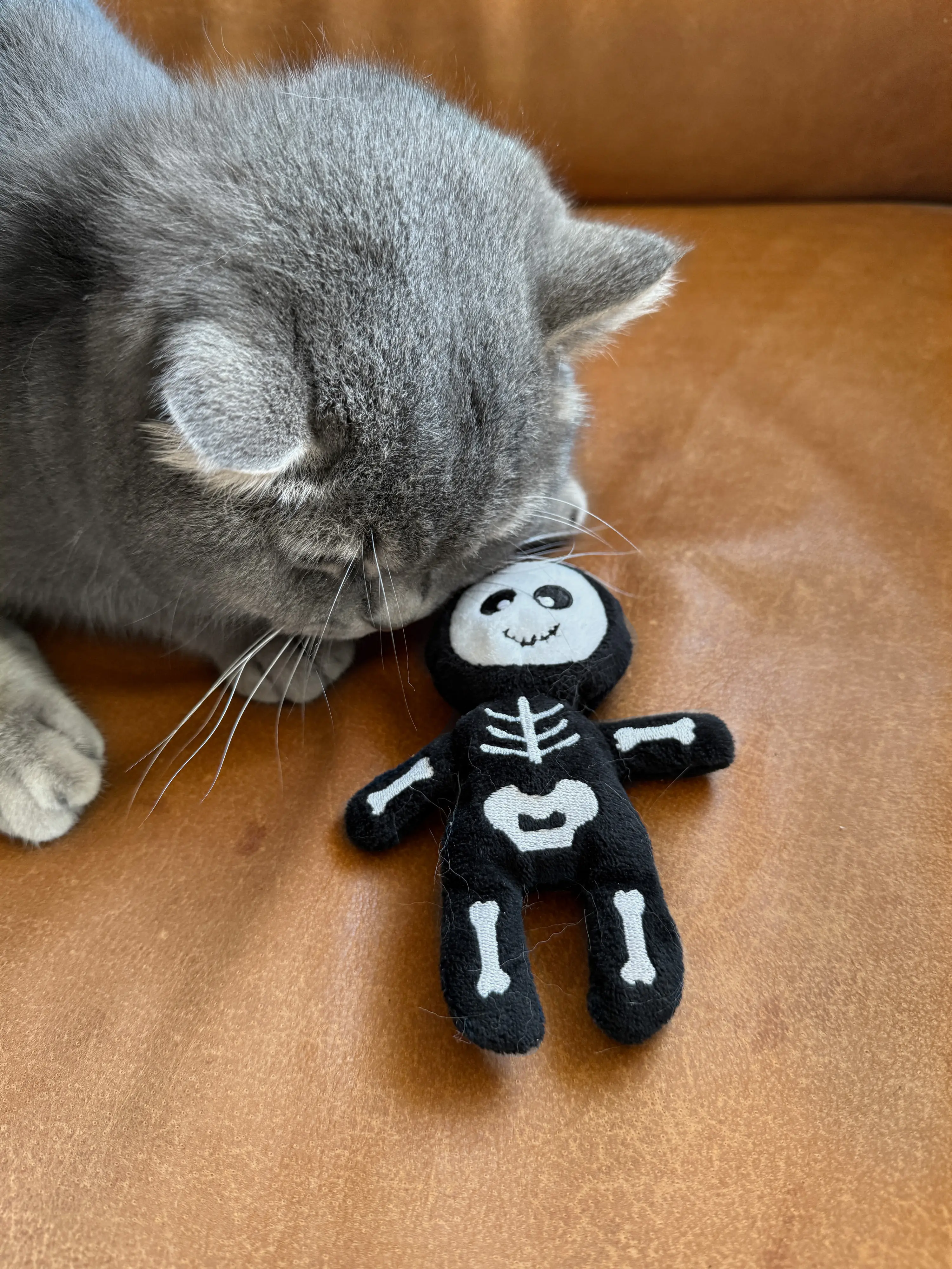 Aumüller Katzenspielzeug Skelett 13 cm schwarz weiß