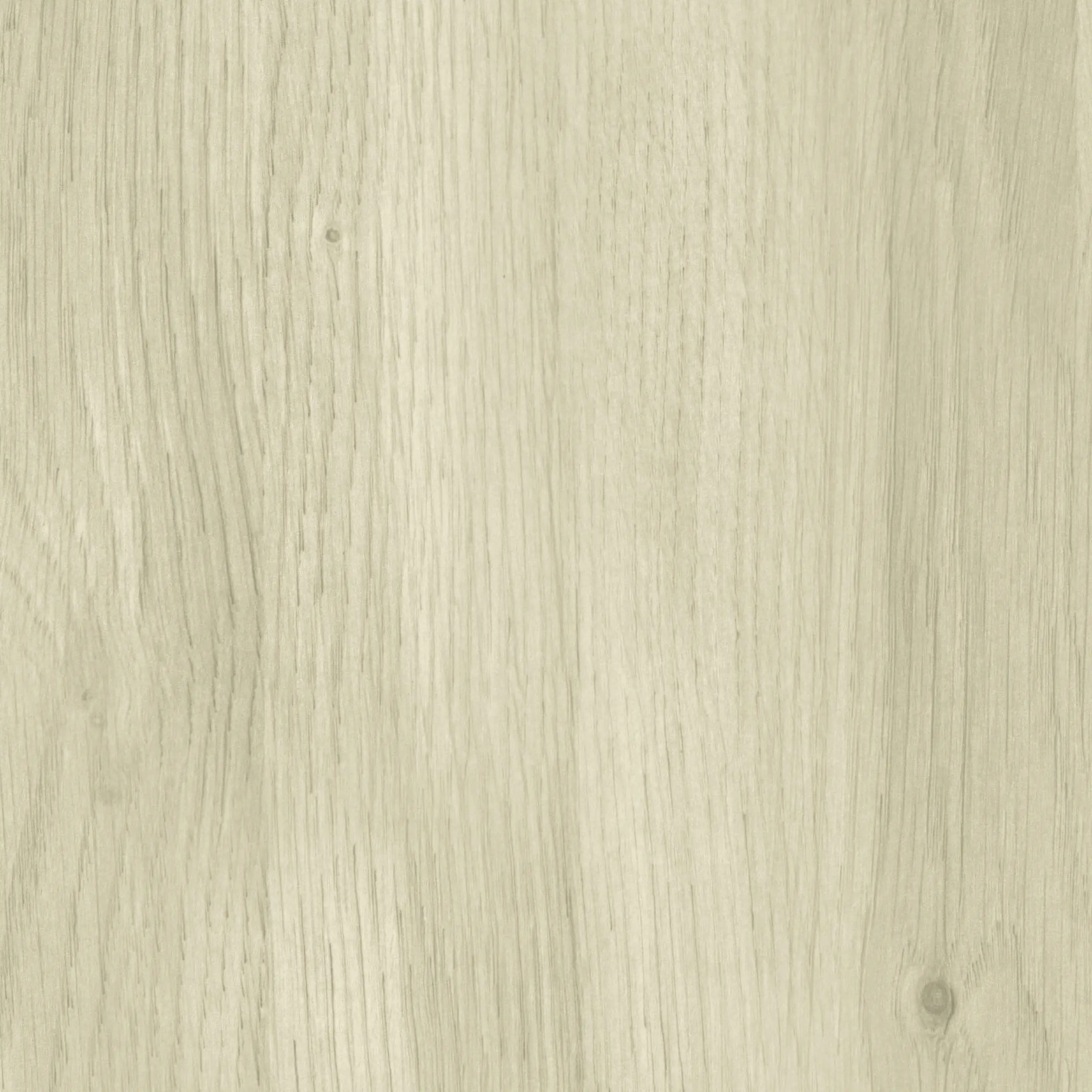 Wetwall Elite Wandpaneel  Native Oak 16 x 242 cm mit abgerundeter Abschlusskante