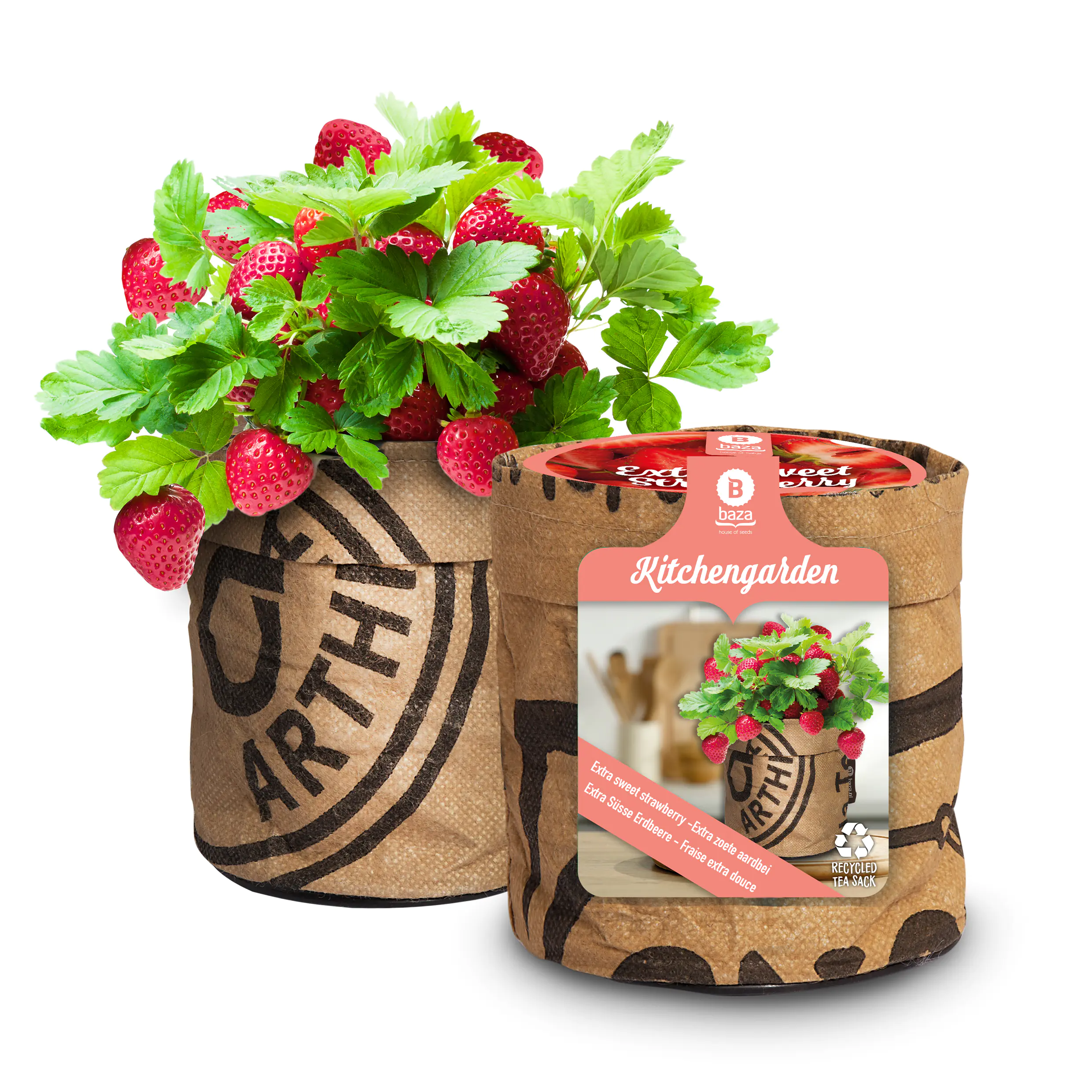 Baza Seeds Küchengarten extra süße Erdbeere