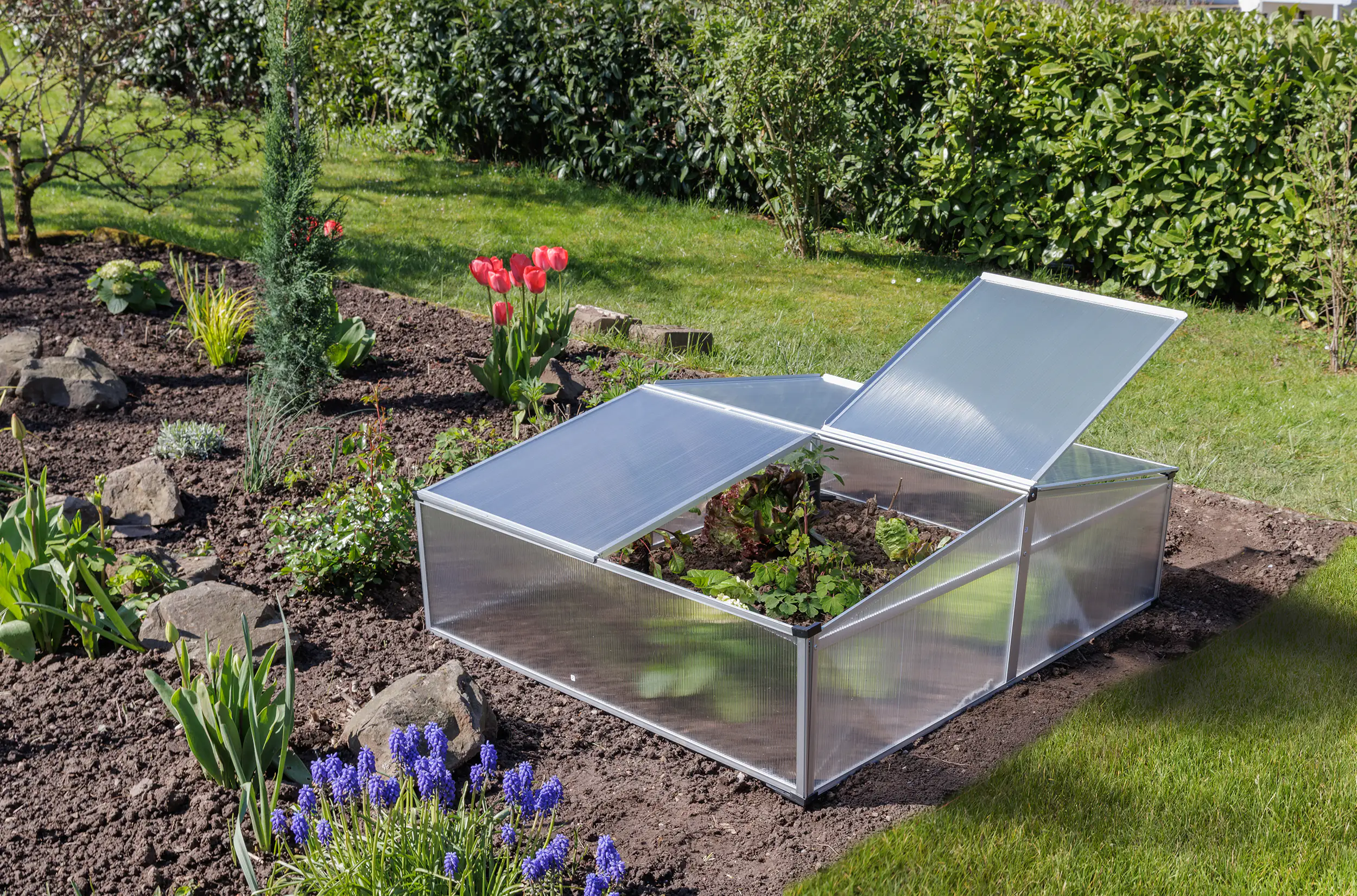 TrendLine Doppel-Frühbeet Alu 100 x 120 x 30/40 cm