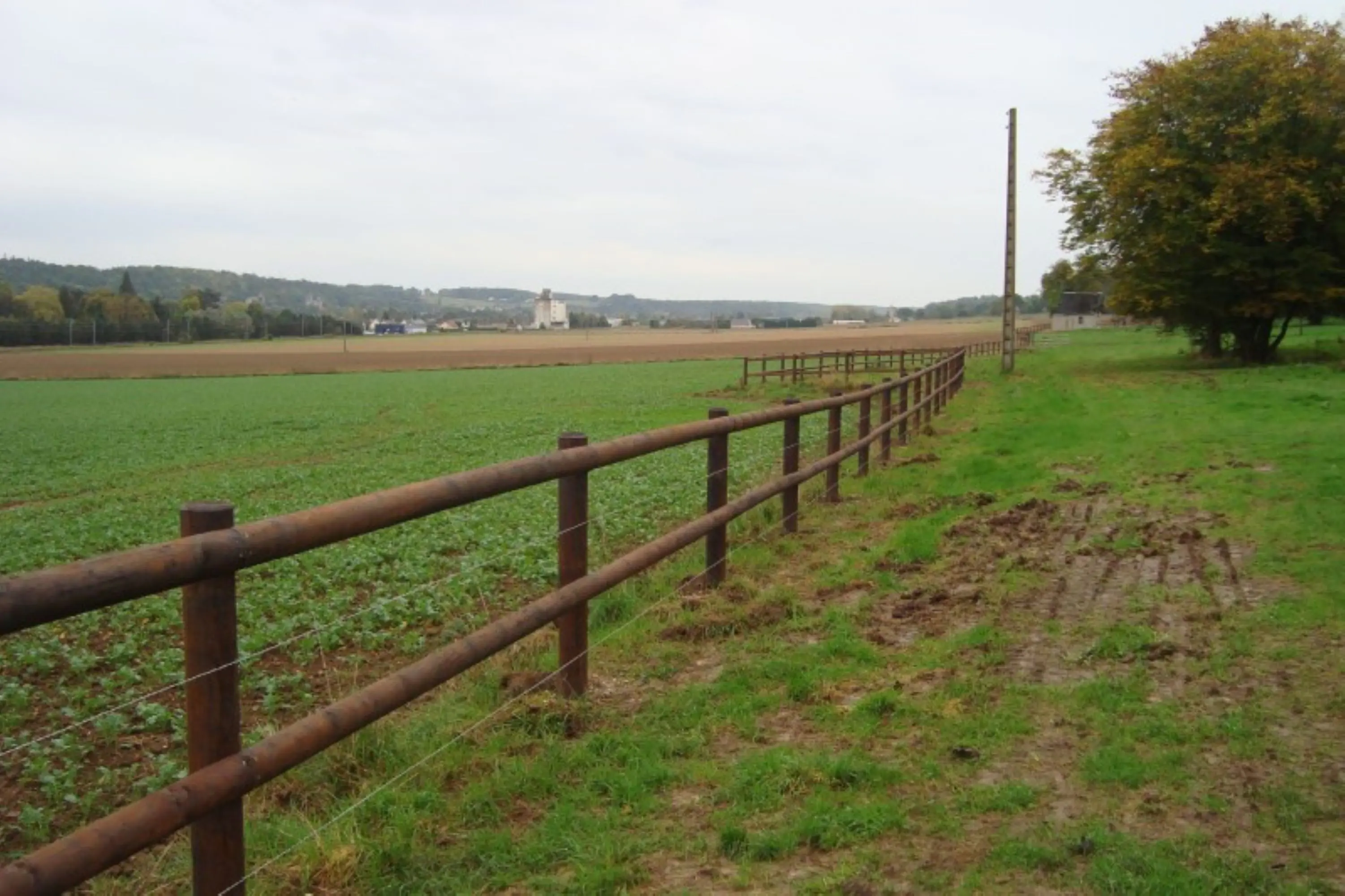 Vierkantpfahl Koppelzaun 2-reihig Höhe 153-165 cm 150 lfm