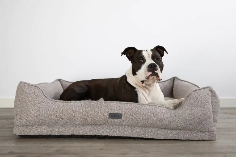 Nobby Orthopädisches Hundebett Calbu eckig beige