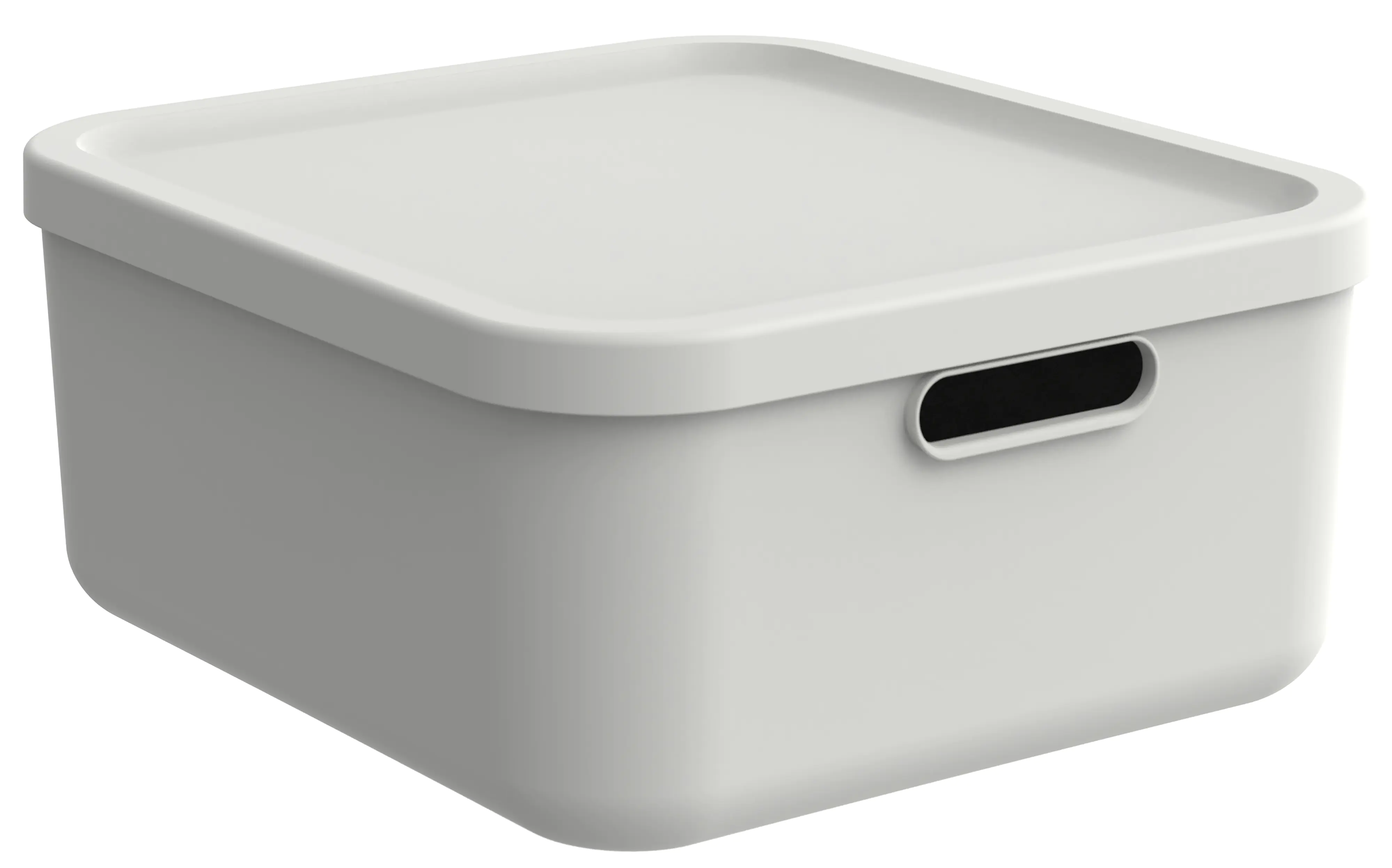 Rotho Aufbewahrungsbox Albula mit Deckel 17,5 x 39,5 cm 20 L weiß