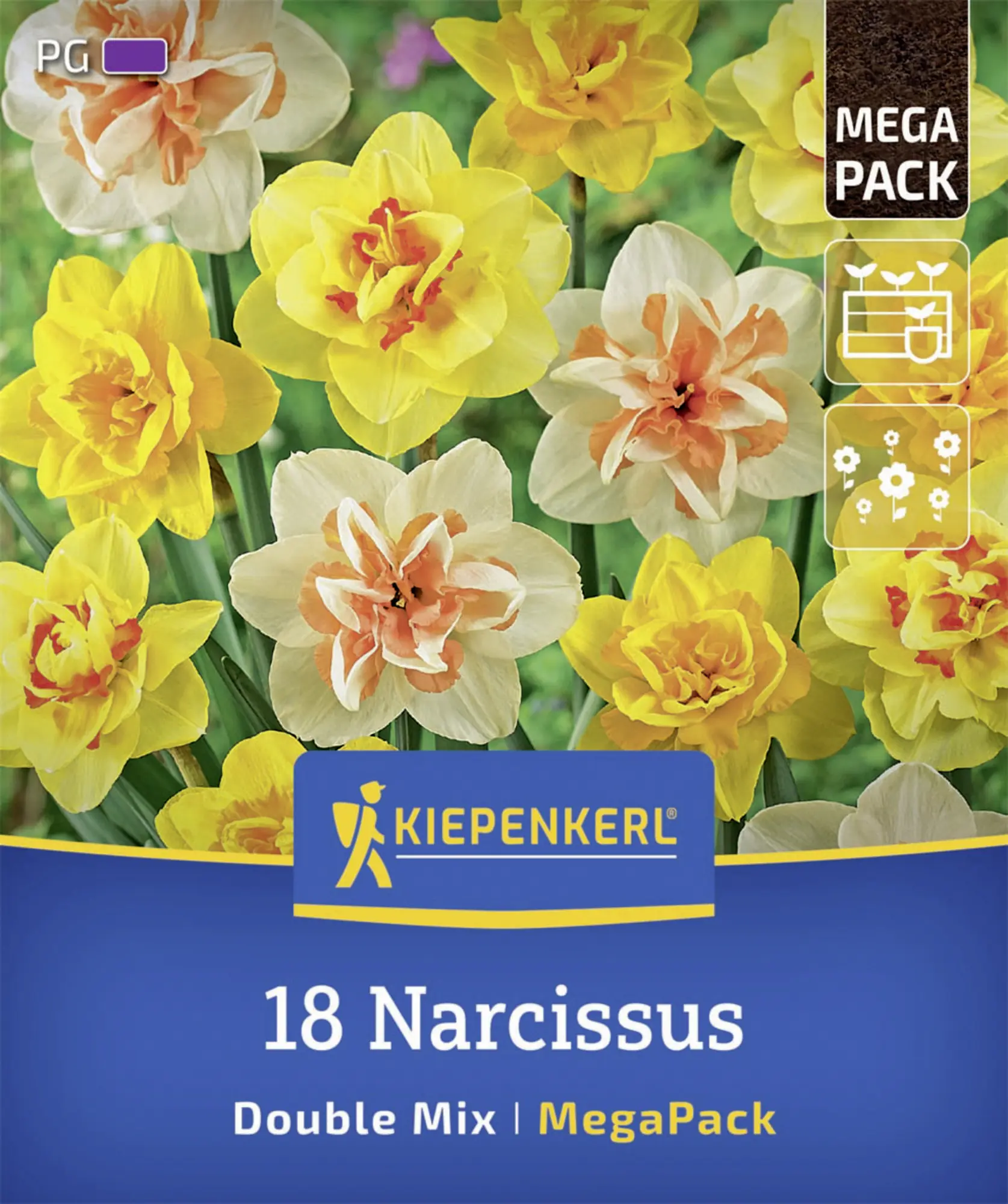 Kiepenkerl Herbstblumenzwiebelmischung Mega-Pack Gefüllte Narzissen 18 Stück