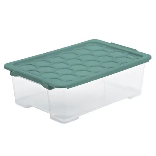 Rotho Aufbewahrungsbox Evo Safe mit Deckel 59 x 39,5 cm 30 L transparent
