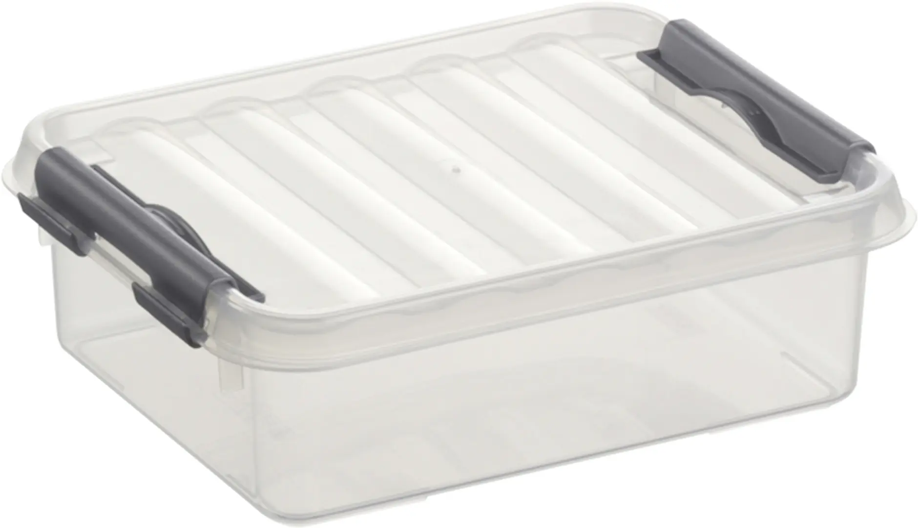 Sunware Aufbewahrungsbox Q-Line mit Deckel 20 x 15 cm 1 L transparent