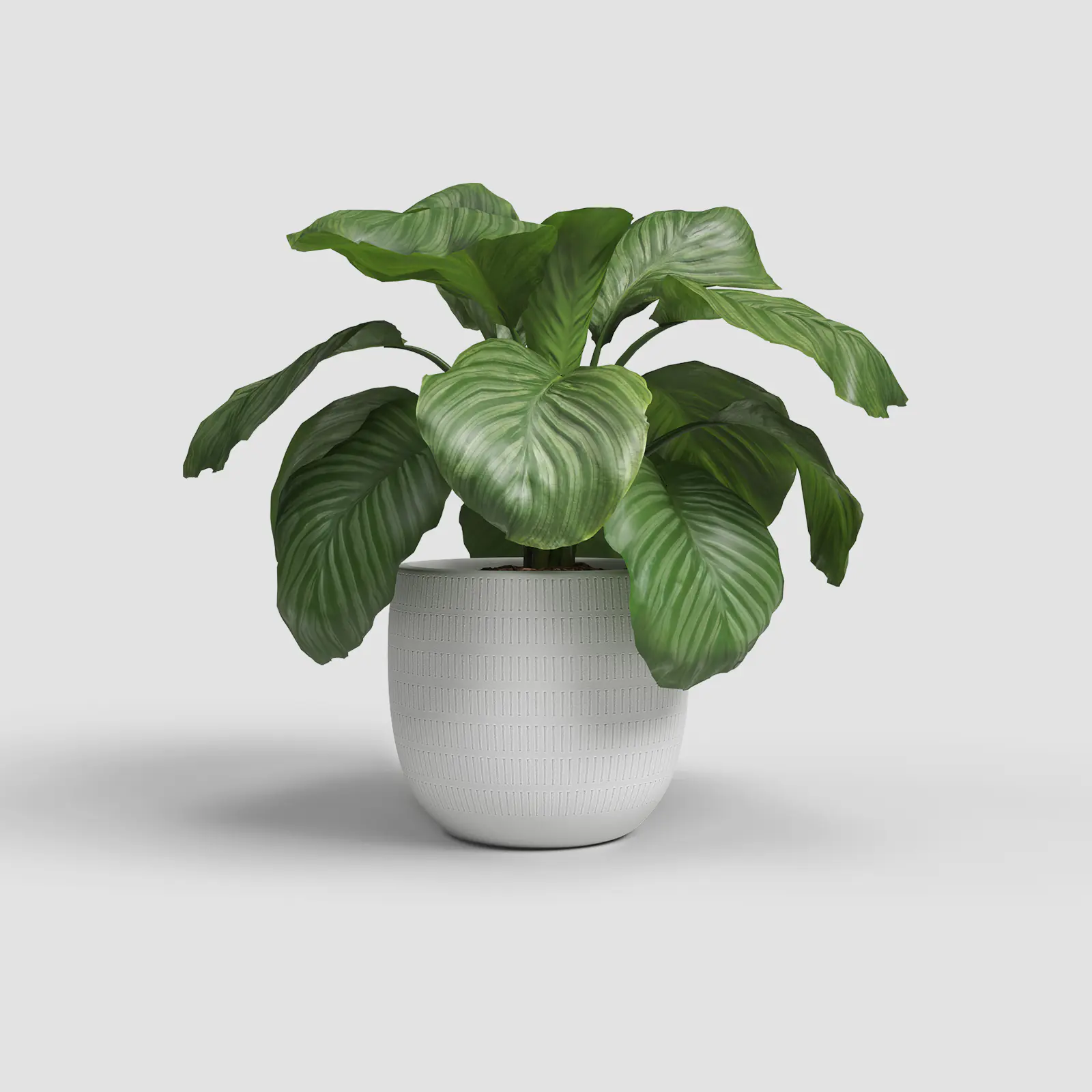 Artevasi Übertopf Aura Keramik Ø 29 x 27 cm weiß