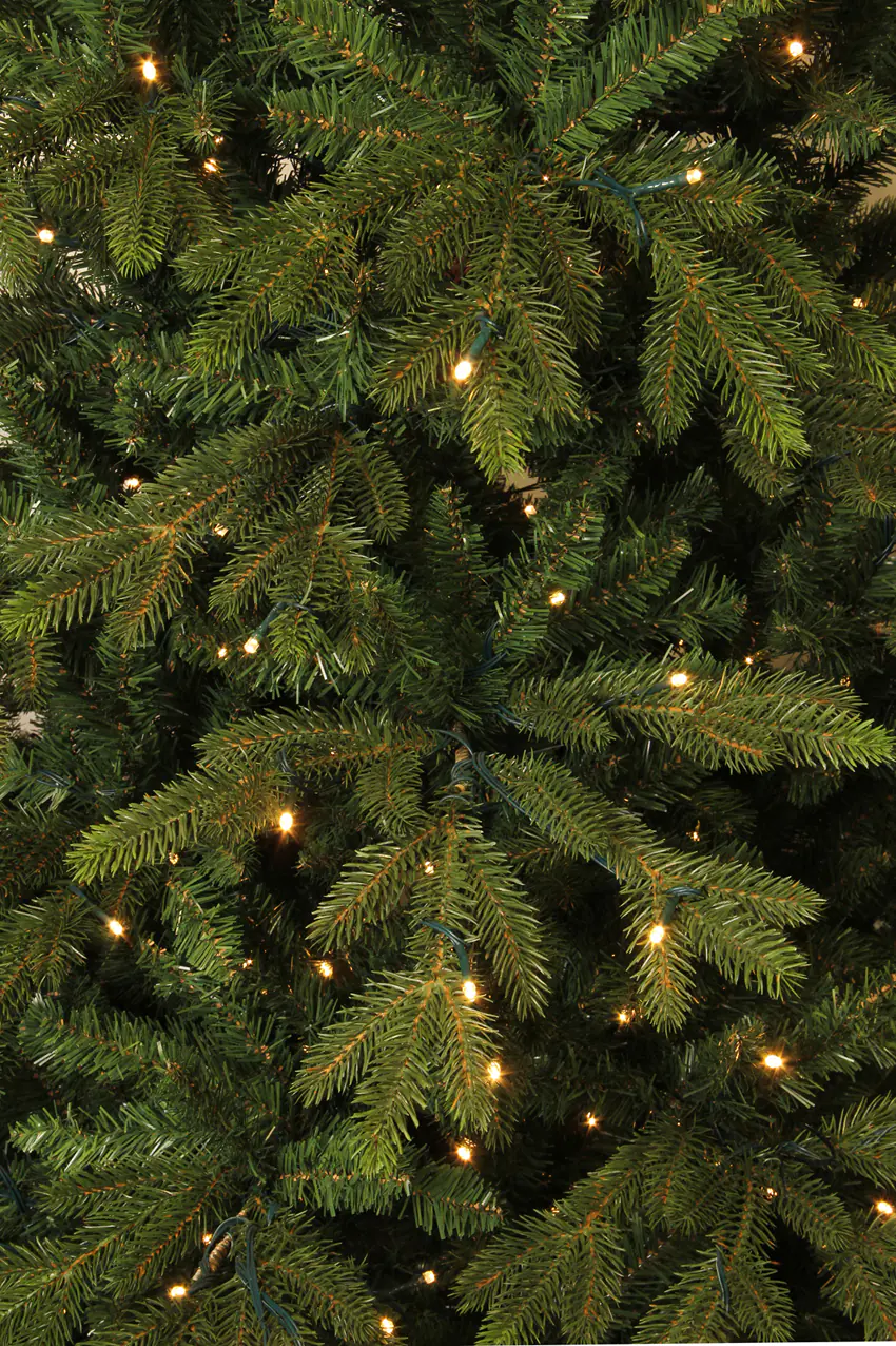 Black Box Trees Weihnachtsbaum Macallan 215 cm grün mit LED