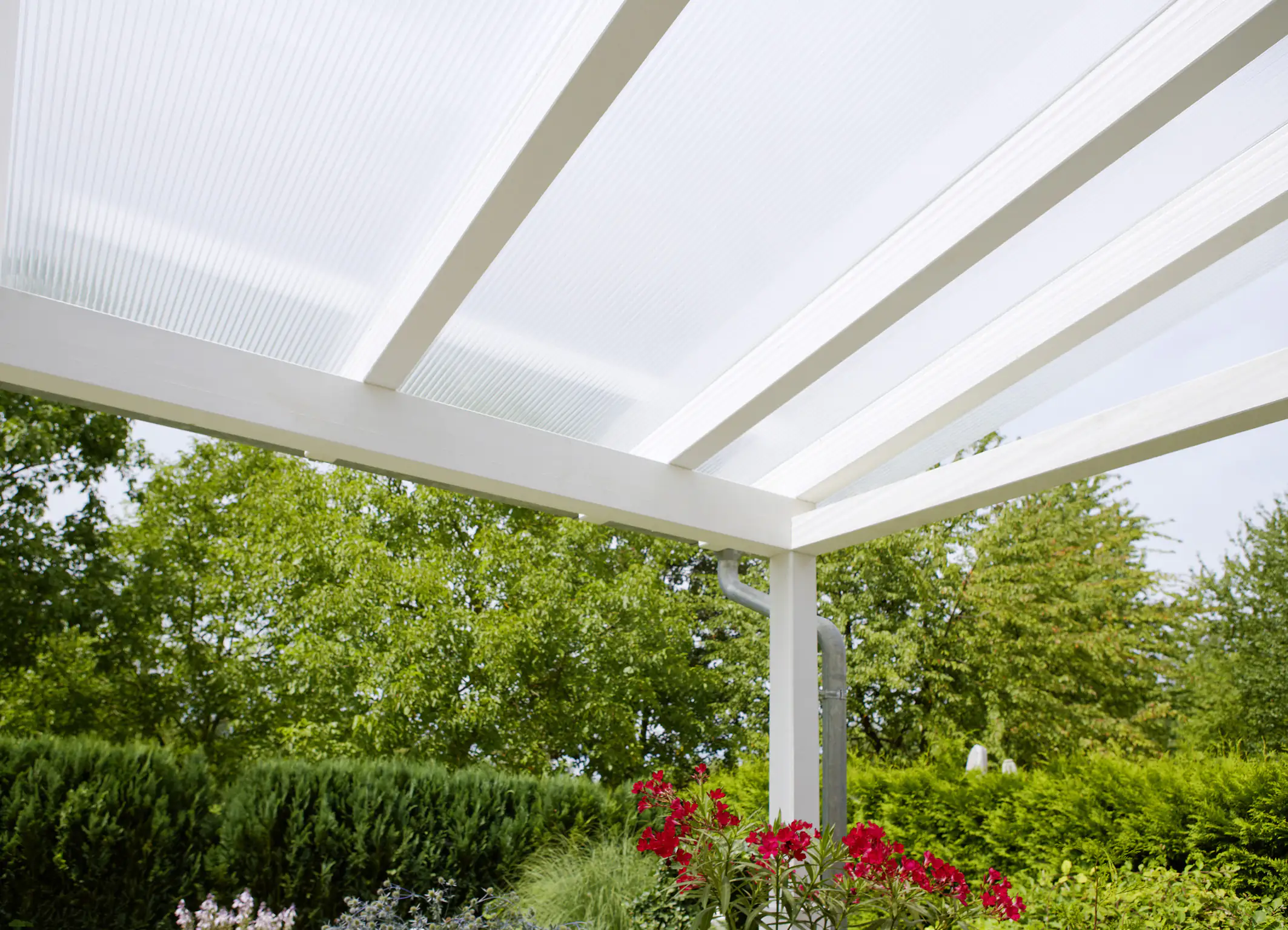 Gutta Polycarbonat-Doppelstegplatte 250 x 98 cm 16 mm