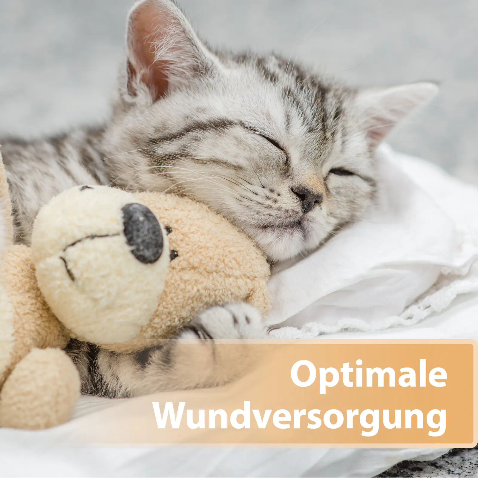 Felisept Wundspray für Katzen 75 ml