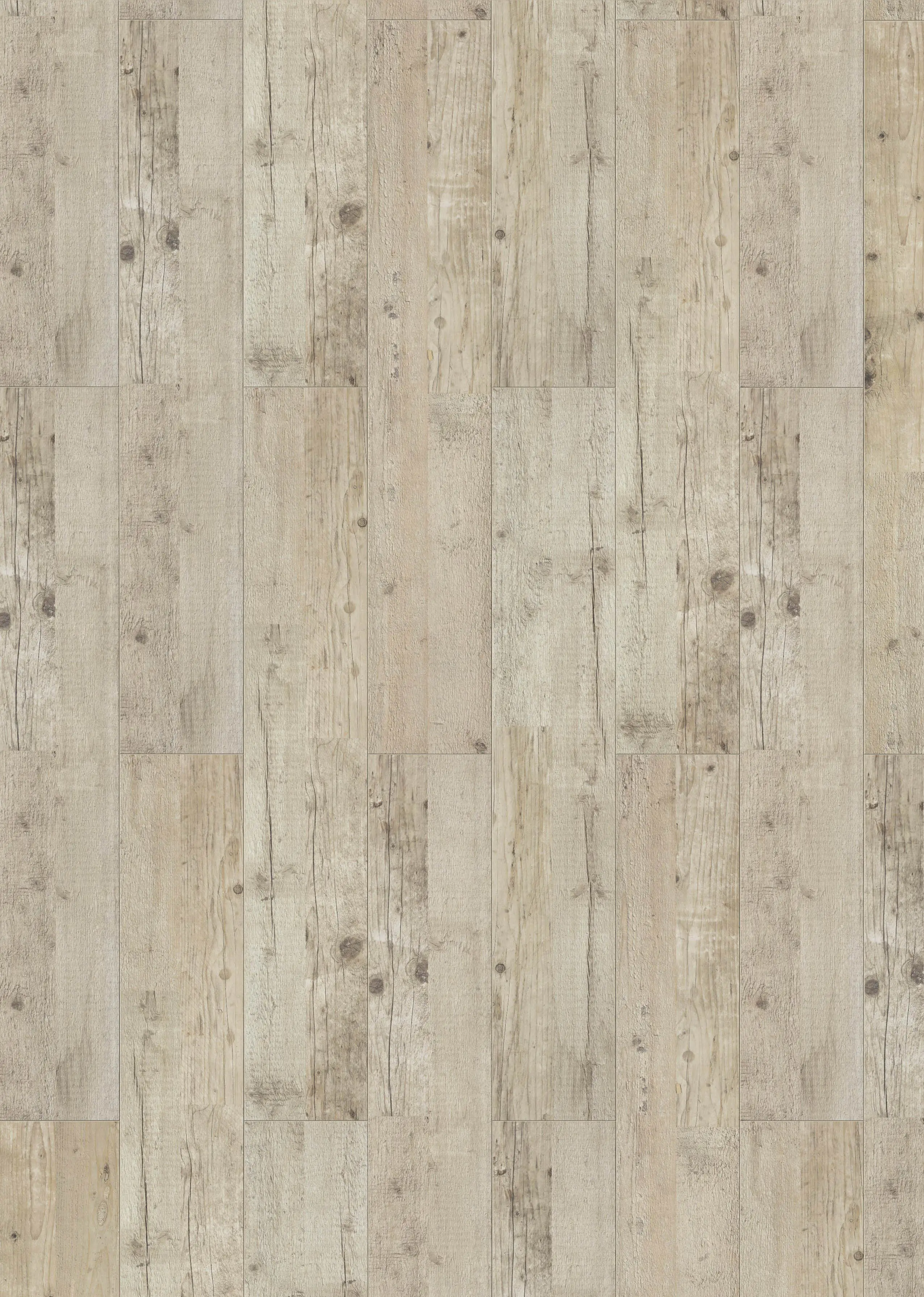 Classen Laminat 7 mm 4V 128,6 x 19,4 cm 7 mm Kiefer beige