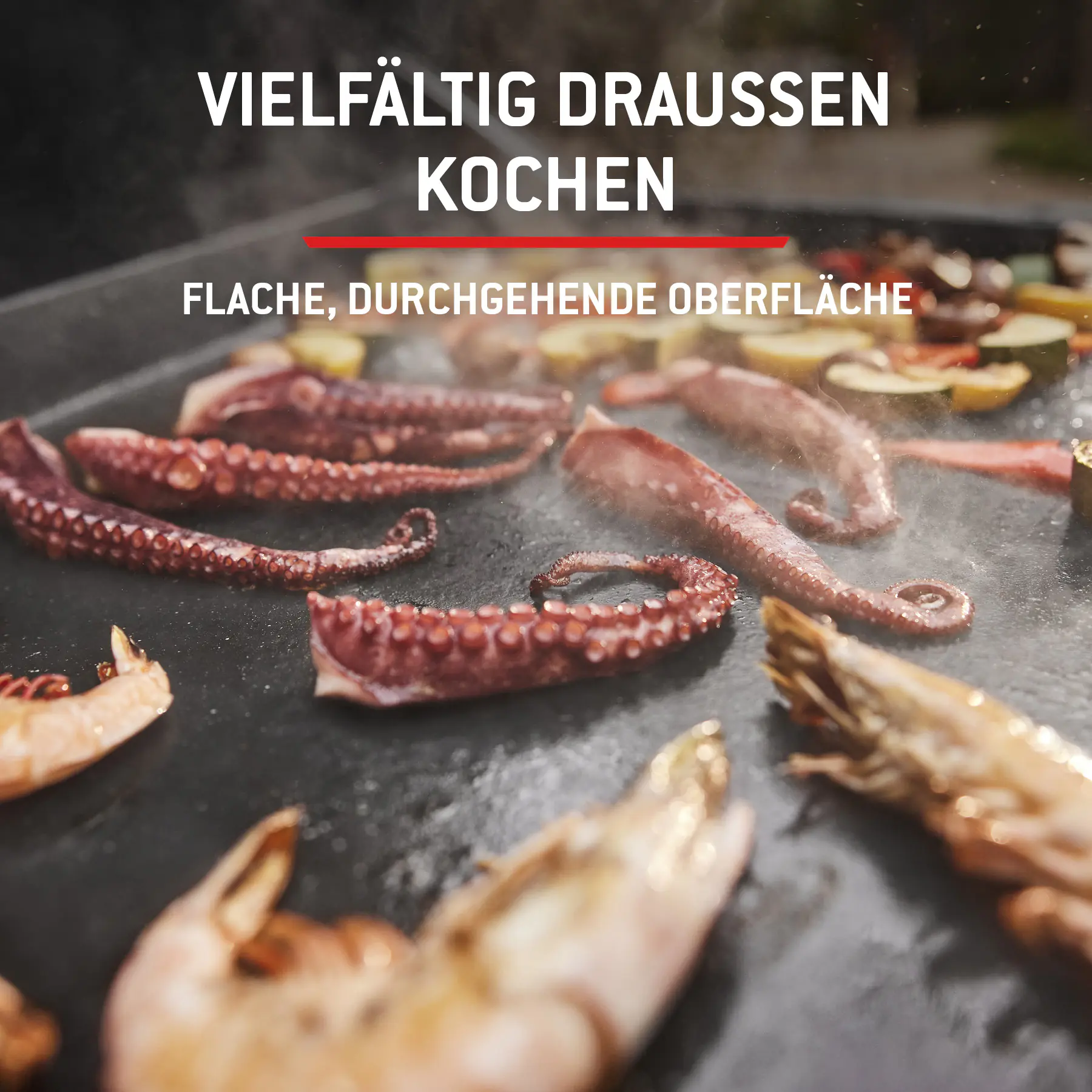 Weber Gasgrill Slate GP 56 cm Premium Plancha